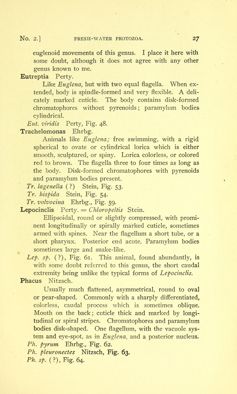 euglenoid movements of this genus. I place it here with some doubt, although it does not agree with any other genus known to me. Eutreptia Perty. Like Euglena, but with two equal flagella. When ex- tended, body is spindle-formed and very flexible. A deli- cately marked cuticle. The body contains disk-formed chromatophores without pyrenoids; paramylum bodies- cylindrical. Eut. viridis Perty, Fig. 48. Trachelomonas Ehrbg. Animals like Euglena; free swimming, with a rigid spherical to ovate or cylindrical lorica which is either smooth, sculptured, or spiny. Lorica colorless, or colored red to brown. The flagella three to four times as long as the body. Disk-formed chromatophores with pyrenoids and paramylum bodies present. Tr. lagenella (?) Stein, Fig. 53. Tr. hispida Stein, Fig. 54. Tr. volvocina Ehrbg., Fig. 59. Lepocinclis Perty. = Chloropeltis Stein. Ellipsoidal, round or slightly compressed, with promi- nent longitudinally or spirally marked cuticle, sometimes armed with spines. Near the flagellum a short tube, or a short pharynx. Posterior end acute. Paramylum bodies sometimes large and snake-like. Lep. sp. (?), Fig. 61. This animal, found abundantly, is with some doubt referred to this genus, the short caudal extremity being unlike the typical forms of Lepocinclis. Phacus Nitzsch. Usually much flattened, asymmetrical, round to oval or pear-shaped. Commonly with a sharply differentiated, colorless, caudal process which is sometimes oblique. Mouth on the back; cuticle thick and marked by longi- tudinal or spiral stripes. Chromatophores and paramylum bodies disk-shaped. One flagellum, with the vacuole sys- tem and eye-spot, as in Euglena, and a posterior nucleus. Ph. pyrum Ehrbg., Fig. 62. Ph. pleuronectes Nitzsch, Fig. 63. Ph. sp. ( ?), Fig. 64.