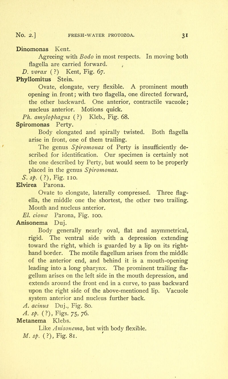 Dinomonas Kent. Agreeing with Bodo in most respects. In moving both flagella are carried forward. t D. vorax ( ?) Kent, Fig. 67. Phyllomitus Stein. Ovate, elongate, very flexible. A prominent mouth opening in front; with two flagella, one directed forward, the other backward. One anterior, contractile vacuole; nucleus anterior. Motions quick. Ph. amylophagus (?) Kleb., Fig. 68. Spiromonas Perty. Body elongated and spirally twisted. Both flagella arise in front, one of them trailing. The genus Spiromonas of Perty is insufficiently de- scribed for identification. Our specimen is certainly not the one described by Perty, but would seem to be properly placed in the genus Spiromonas. S. sp. ( ?), Fig. no. Elvirea Parona. Ovate to elongate, laterally compressed. Three flag- ella, the middle one the shortest, the other two trailing. Mouth and nucleus anterior. El. donee Parona, Fig. 100. Anisonema Duj. Body generally nearly oval, flat and asymmetrical, rigid. The ventral side with a depression extending toward the right, which is guarded by a lip on its right- hand border. The motile flagellum arises from the middle of the anterior end, and behind it is a mouth-opening leading into a long pharynx. The prominent trailing fla- gellum arises on the left side in the mouth depression, and extends around the front end in a curve, to pass backward upon the right side of the above-mentioned lip. Vacuole system anterior and nucleus further back. A. adnus Duj., Fig. 80. A. sp. (?), Figs. 75, 76. Metanema Klebs. Like Anisonema, but with body flexible. M. sp. ( ?), Fig. 81.