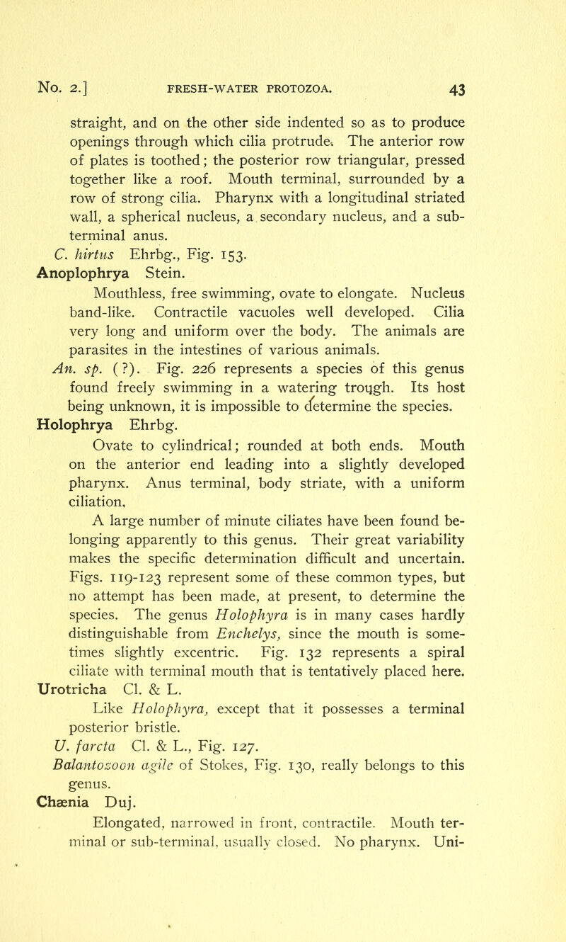 straight, and on the other side indented so as to produce openings through which cilia protrude-. The anterior row of plates is toothed; the posterior row triangular, pressed together like a roof. Mouth terminal, surrounded by a row of strong cilia. Pharynx with a longitudinal striated wall, a spherical nucleus, a secondary nucleus, and a sub- terminal anus. C. hirtus Ehrbg., Fig. 153. Anoplophrya Stein. Mouthless, free swimming, ovate to elongate. Nucleus band-like. Contractile vacuoles well developed. Cilia very long and uniform over the body. The animals are parasites in the intestines of various animals. An. sp. (?). Fig. 226 represents a species of this genus found freely swimming in a watering trough. Its host being unknown, it is impossible to (determine the species. Holophrya Ehrbg. Ovate to cylindrical; rounded at both ends. Mouth on the anterior end leading into a slightly developed pharynx. Anus terminal, body striate, with a uniform ciliation, A large number of minute ciliates have been found be- longing apparently to this genus. Their great variability makes the specific determination difficult and uncertain. Figs. 119-123 represent some of these common types, but no attempt has been made, at present, to determine the species. The genus Holophyra is in many cases hardly distinguishable from Enchelys, since the mouth is some- times slightly excentric. Fig. 132 represents a spiral ciliate with terminal mouth that is tentatively placed here. Urotricha CL & L. Like Holophyra, except that it possesses a terminal posterior bristle. U. farcta Cl. & L., Fig. 127. Balantozoon agile of Stokes, Fig. 130, really belongs to this genus. Chaenia Duj. Elongated, narrowed in front, contractile. Mouth ter- minal or sub-terminal, usually closed. No pharynx. Uni-