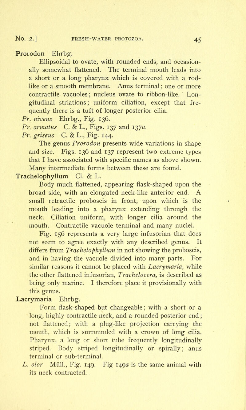 Prorodon Ehrbg. Ellipsoidal to ovate, with rounded ends, and occasion- ally somewhat flattened. The terminal mouth leads into a short or a long pharynx which is covered with a rod- like or a smooth membrane. Anus terminal; one or more contractile vacuoles; nucleus ovate to ribbon-like. Lon- gitudinal striations; uniform ciliation, except that fre- quently there is a tuft of longer posterior cilia. Pr. niveus Ehrbg., Fig. 136. Pr. armatus C. & L., Figs. 137 and 137a. Pr. griseus C. & L., Fig. 144. The genus Prorodon presents wide variations in shape and size. Figs. 136 and 137 represent two extreme types that I have associated with specific names as above shown. Many intermediate forms between these are found. Trachelophyllum Cl. & L. Body much flattened, appearing flask-shaped upon the broad side, with an elongated neck-like anterior end. A small retractile proboscis in front, upon which is the mouth leading into a pharynx extending through the neck. Ciliation uniform, with longer cilia around the mouth. Contractile vacuole terminal and many nuclei. Fig. 156 represents a very large infusorian that does not seem to agree exactly with any described genus. It differs from Trachelophyllum in not showing the proboscis, and in having the vacuole divided into many parts. For similar reasons it cannot be placed with Lacrymaria, while the other flattened infusorian, Trachelocera, is described as being only marine. I therefore place it provisionally with this genus. Lacrymaria Ehrbg. Form flask-shaped but changeable; with a short or a long, highly contractile neck, and a rounded posterior end; not flattened; with a plug-like projection carrying the mouth, which is surrounded with a crown of long cilia. Pharynx, a long or short tube frequently longitudinally striped. Body striped longitudinally or spirally; anus terminal or sub-terminal. L. olor Miill., Fig. 149. Fig 149a is the same animal with its neck contracted.