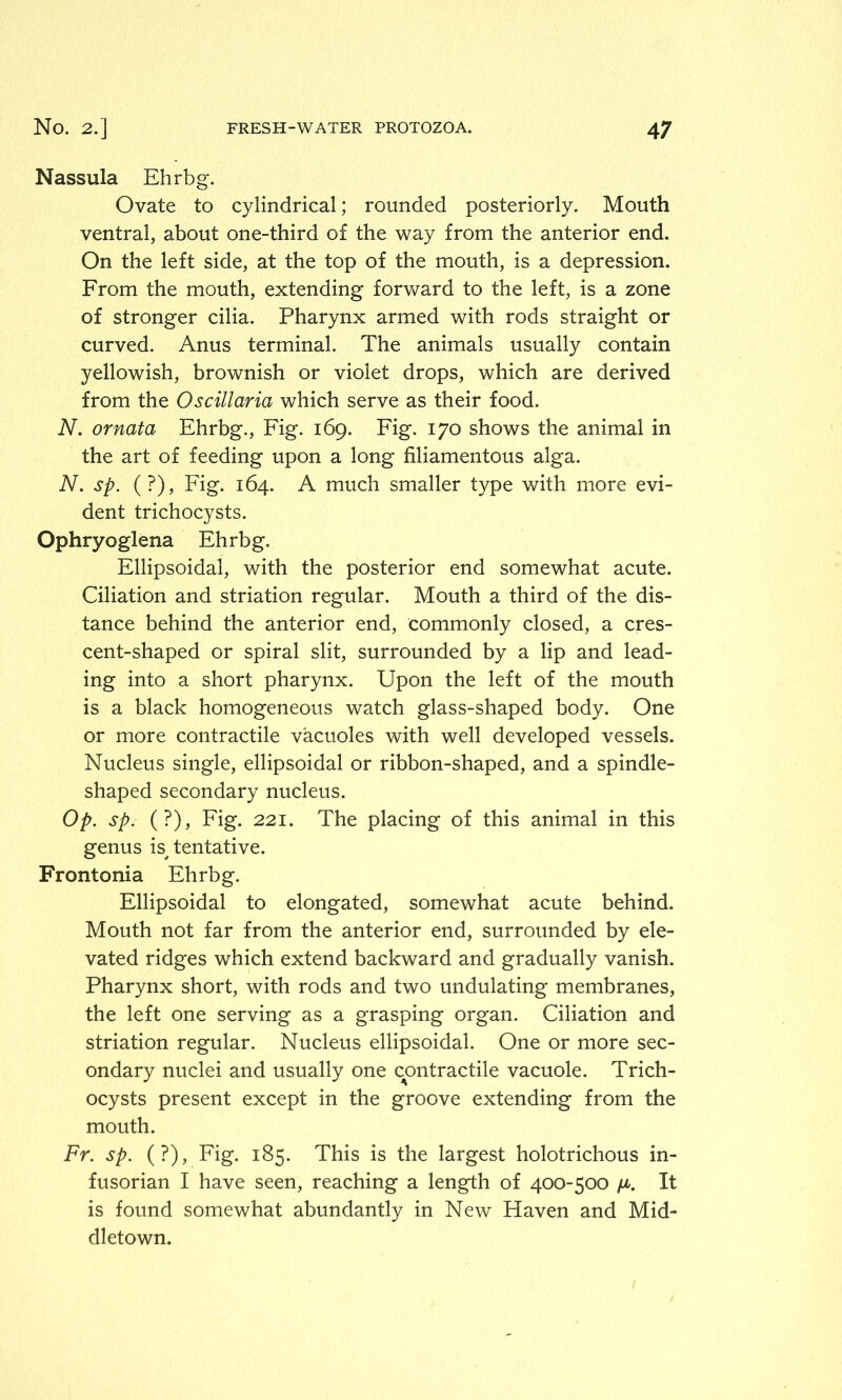 Nassula Ehrbg. Ovate to cylindrical; rounded posteriorly. Mouth ventral, about one-third of the way from the anterior end. On the left side, at the top of the mouth, is a depression. From the mouth, extending forward to the left, is a zone of stronger cilia. Pharynx armed with rods straight or curved. Anus terminal. The animals usually contain yellowish, brownish or violet drops, which are derived from the Oscillaria which serve as their food. N. ornata Ehrbg., Fig. 169. Fig. 170 shows the animal in the art of feeding upon a long filiamentous alga. N. sp. (?), Fig. 164. A much smaller type with more evi- dent trichocysts. Ophryoglena Ehrbg. Ellipsoidal, with the posterior end somewhat acute. Ciliation and striation regular. Mouth a third of the dis- tance behind the anterior end, commonly closed, a cres- cent-shaped or spiral slit, surrounded by a lip and lead- ing into a short pharynx. Upon the left of the mouth is a black homogeneous watch glass-shaped body. One or more contractile vacuoles with well developed vessels. Nucleus single, ellipsoidal or ribbon-shaped, and a spindle- shaped secondary nucleus. Op. sp. (?), Fig. 221. The placing of this animal in this genus is, tentative. Frontonia Ehrbg. Ellipsoidal to elongated, somewhat acute behind. Mouth not far from the anterior end, surrounded by ele- vated ridges which extend backward and gradually vanish. Pharynx short, with rods and two undulating membranes, the left one serving as a grasping organ. Ciliation and striation regular. Nucleus ellipsoidal. One or more sec- ondary nuclei and usually one contractile vacuole. Trich- ocysts present except in the groove extending from the mouth. Fr. sp. (?), Fig. 185. This is the largest holotrichous in- fusorian I have seen, reaching a length of 400-500 ft. It is found somewhat abundantly in New Haven and Mid- dletown.
