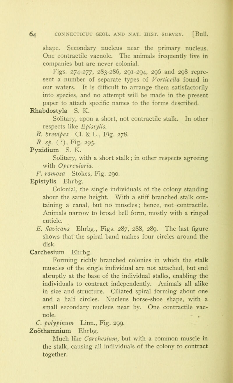 shape. Secondary nucleus near the primary nucleus. One contractile vacuole. The animals frequently live in companies but are never colonial. Figs. 274-277, 283-286, 291-294, 296 and 298 repre- sent a number of separate types of V or tic ell a found in our waters. It is difficult to arrange them satisfactorily into species, and no attempt will be made in the present paper to attach specific names to the forms described. Rhabdostyla S. K. Solitary, upon a short, not contractile stalk. In other respects like Epistylis. R. brevipes Cl. & L., Fig. 278. R. sp. (?), Fig. 295. Pyxidium S. K. Solitary, with a short stalk; in other respects agreeing with Opercularia. P. ramosa Stokes, Fig. 290. Epistylis Ehrbg. Colonial, the single individuals of the colony standing about the same height. With a stiff branched stalk con- taining a canal, but no muscles; hence, not contractile. Animals narrow to broad bell form, mostly with a ringed cuticle. E. Havicans Ehrbg., Figs. 287, 288, 289. The last figure shows that the spiral band makes four circles around the disk. Carchesium Ehrbg. Forming richly branched colonies in which the stalk muscles of the single individual are not attached, but end abruptly at the base of the individual stalks, enabling the individuals to contract independently. Animals all alike in size and structure. Ciliated spiral forming about one and a half circles. Nucleus horse-shoe shape, with a small secondary nucleus near by. One contractile vac- uole. C. polypinum Linn., Fig. 299. Zoothamnium Ehrbg. Much like Carchesium, but with a common muscle in the stalk, causing all individuals of the colony to contract together.