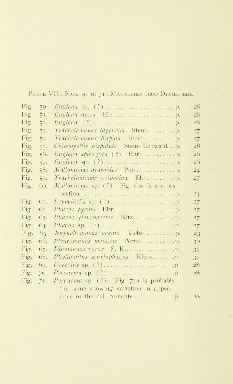 Fig. 50. Euglena sp. (?) p. 26 Fig. 51. Euglena dcscs Ehr p. 26 Fig. 52. Euglena ( ?) p. 26 Fig. 53. Trachclenionas lagenclla Stein p. 27 Fig. 54. Trachclenionas hispida Stein p. 27 Fig. 55. Chloropcltis hispidula Stein-Eichwald.. .p. 28 Fig. 56. Euglena spirogyra (?) Ehr p. 26 Fig. 57. Euglena sp. ( ?) p. 26 Fig. 58. Mallomonas acaroides Pertv p. 24 Fig. 59. Trachelomonas volvocina Ehr p. 27 Fig. 60. Mallamonas sp. ( ?) Fig. 60a is a cross section p. 24 Fig. 61. Lepocinclis sp. ( ?) p. 27 Fig. 62. Phacus pyruni Ehr p. 27 Fig. 63. Phacus pleuronectes Nitz p. 27 Fig. 64. Phacus sp. ( ?) p. 27 Fig. 65. Rhynchomonas nasuta Klebs p. 23 Fig. 66. Pleuromonas jaculans Pertv p. 30 Fig. 67. Dinonionas vorax S. K p. 31 Fig. 68. Phyllomitus amylophagus Klebs p. 31 Fig. 69. Urccolus sp. ( ?) p. 28 Fig. 70. Pcranenia sp. ( ?) p. 28 Fig. 71. Pcranenia sp. (?). Fig. yia is probably the same showing variation in appear- ance of the cell contents p. 28