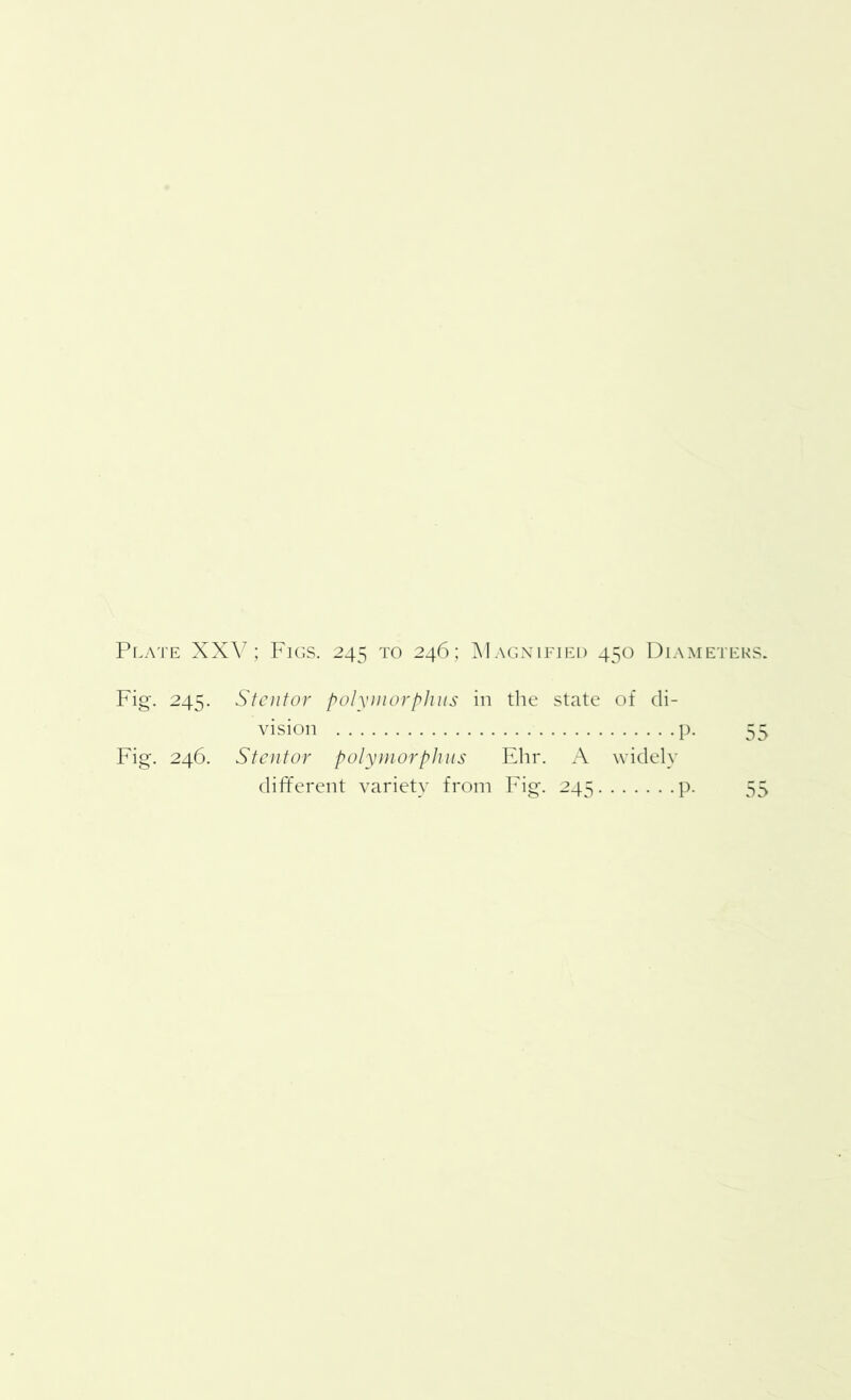 Fig. 245. Stentor polymorphic in the state of di- vision p. 55 Fig. 246. Stentor polymorphus Ehr. A widely different variety from Fig. 245 p. 55