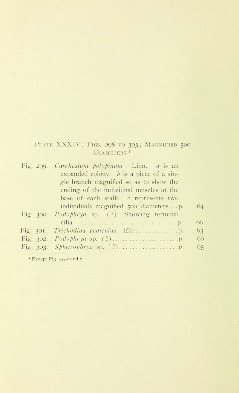 Plate XXXIV; Figs. 298 to 303; Magnified 500 Diameters.* Fig. 299. Carchcsium poly pi mini Linn. a is an expanded colony, b is a piece of a sin- gle branch magnified so as to show the ending of the individual muscles at the base of each stalk, c represents two individuals magnified 500 diameters. . . p. 64 Fig. 300. Podophrya sp. (?) Showing terminal cilia p. 66 Fig. 301. Trichodina pediculus Ehr p. 63 Fig. 302. Podophrya sp. (?) p. 66 Fig. 303. Sphccrophrya sp. (?) p. 65 * Except Fig. 299 a and b.