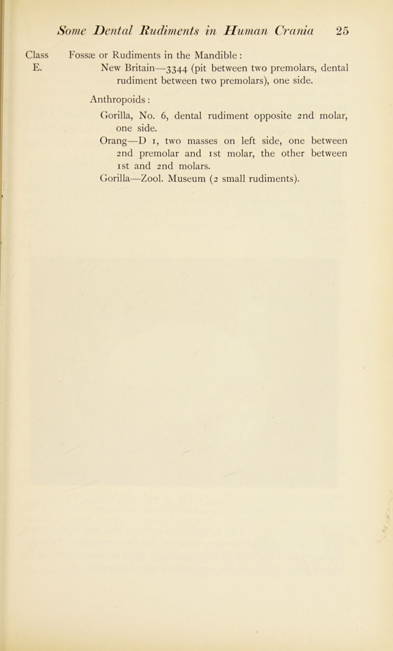 Class Fossae or Rudiments in the Mandible : E. New Britain—3344 (pit between two premolars, dental rudiment between two premolars), one side. Anthropoids : Gorilla, No. 6, dental rudiment opposite 2nd molar, one side. Orang—D 1, two masses on left side, one between 2nd premolar and 1st molar, the other between 1 st and 2nd molars. Gorilla—Zool. Museum (2 small rudiments).