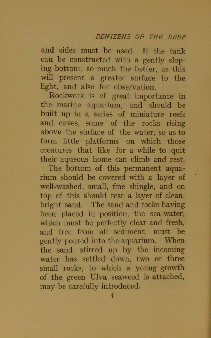 and sides must be used. If the tank can be constructed with a gently slop- ing bottom, so much the better, as this will present a greater surface to the light, and also for observation. Rockwork is of great importance in the marine aquarium, and should be built up in a series of miniature reefs and caves, some of the rocks rising above the surface of the water, so as to form little platforms on which those creatures that like for a while to quit their aqueous home can climb and rest. The bottom of this permanent aqua- rium should be covered with a layer of well-washed, small, fine shingle, and on top of this should rest a layer of clean, bright sand. The sand and rocks having been placed in position, the sea-water, which must be perfectly clear and fresh, and free from all sediment, must be gently poured into the aquarium. When the sand stirred up by the incoming water has settled down, two or three small rocks, to which a young growth of the green Ulva seaweed is attached, may be carefully introduced.