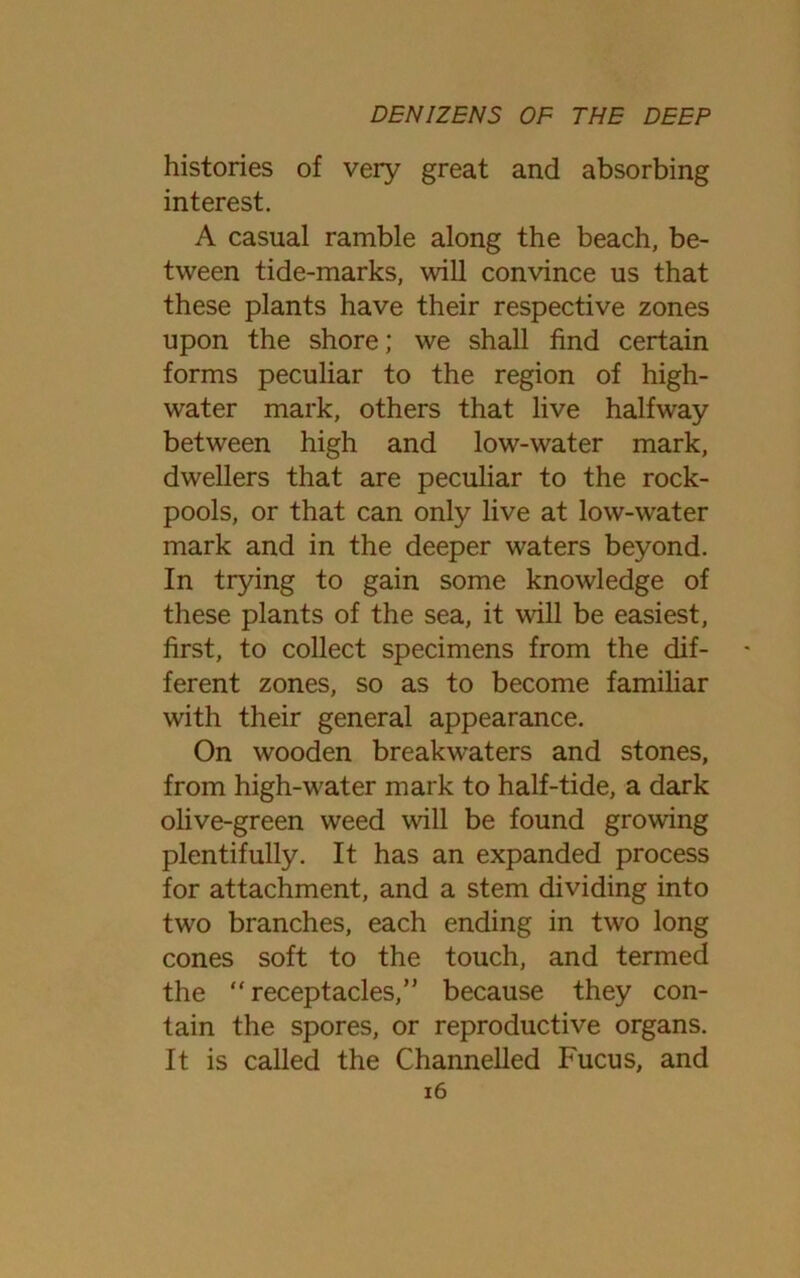 histories of very great and absorbing interest. A casual ramble along the beach, be- tween tide-marks, will convince us that these plants have their respective zones upon the shore; we shall find certain forms peculiar to the region of high- water mark, others that live halfway between high and low-water mark, dwellers that are peculiar to the rock- pools, or that can only live at low-water mark and in the deeper waters beyond. In trying to gain some knowledge of these plants of the sea, it will be easiest, first, to collect specimens from the dif- ferent zones, so as to become familiar with their general appearance. On wooden breakwaters and stones, from high-water mark to half-tide, a dark olive-green weed will be found growing plentifully. It has an expanded process for attachment, and a stem dividing into two branches, each ending in two long cones soft to the touch, and termed the “receptacles,” because they con- tain the spores, or reproductive organs. It is called the Channelled Fucus, and