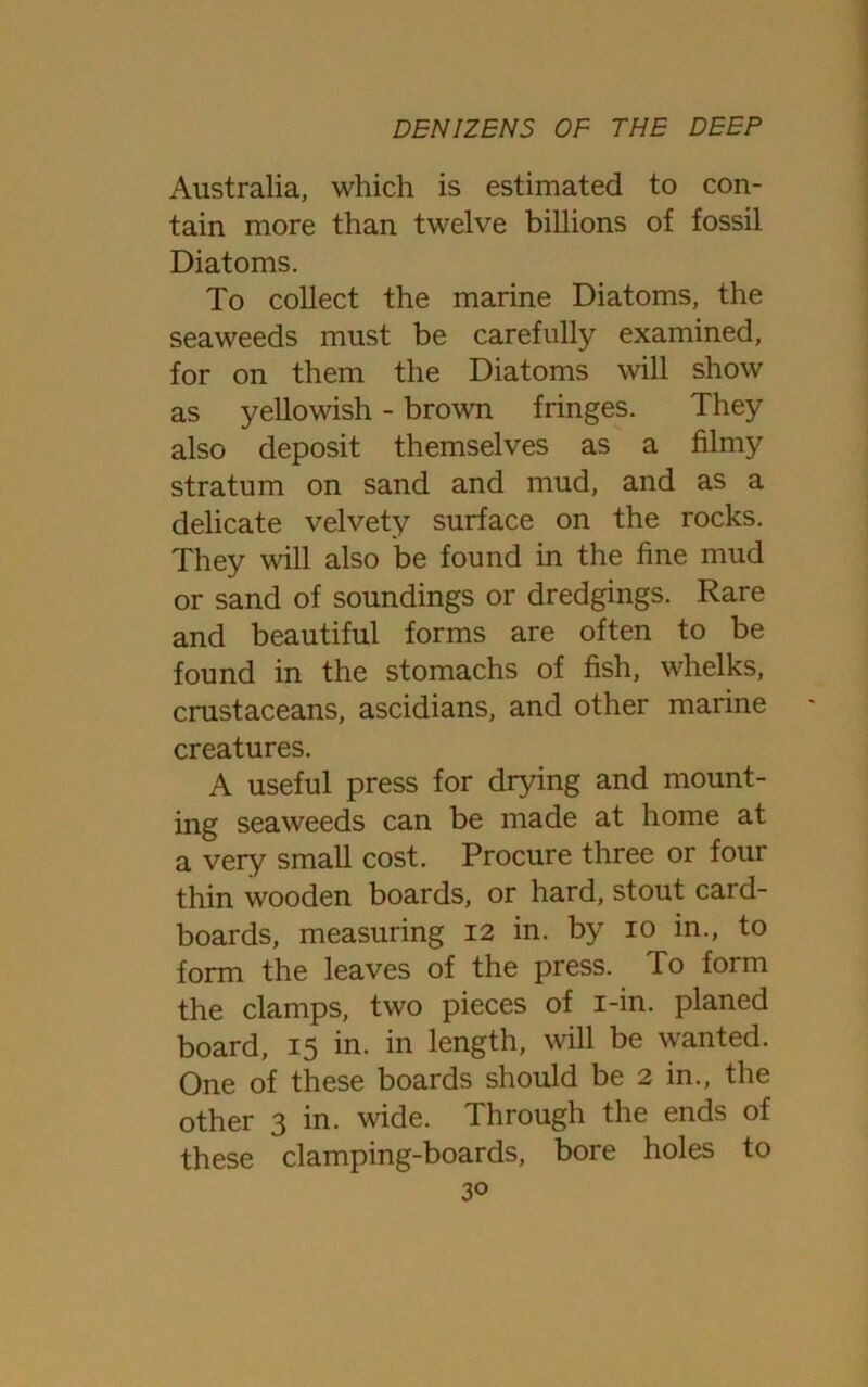 Australia, which is estimated to con- tain more than twelve billions of fossil Diatoms. To collect the marine Diatoms, the seaweeds must be carefully examined, for on them the Diatoms will show as yellowish - brown fringes. They also deposit themselves as a filmy stratum on sand and mud, and as a delicate velvety surface on the rocks. They will also be found in the fine mud or sand of soundings or dredgings. Rare and beautiful forms are often to be found in the stomachs of fish, whelks, crustaceans, ascidians, and other marine creatures. A useful press for drying and mount- ing seaweeds can be made at home at a very small cost. Procure three or four thin wooden boards, or hard, stout card- boards, measuring 12 in. by io in., to form the leaves of the press. To form the clamps, two pieces of i-in. planed board, 15 in. in length, will be wanted. One of these boards should be 2 in., the other 3 in. wide. Through the ends of these clamping-boards, bore holes to