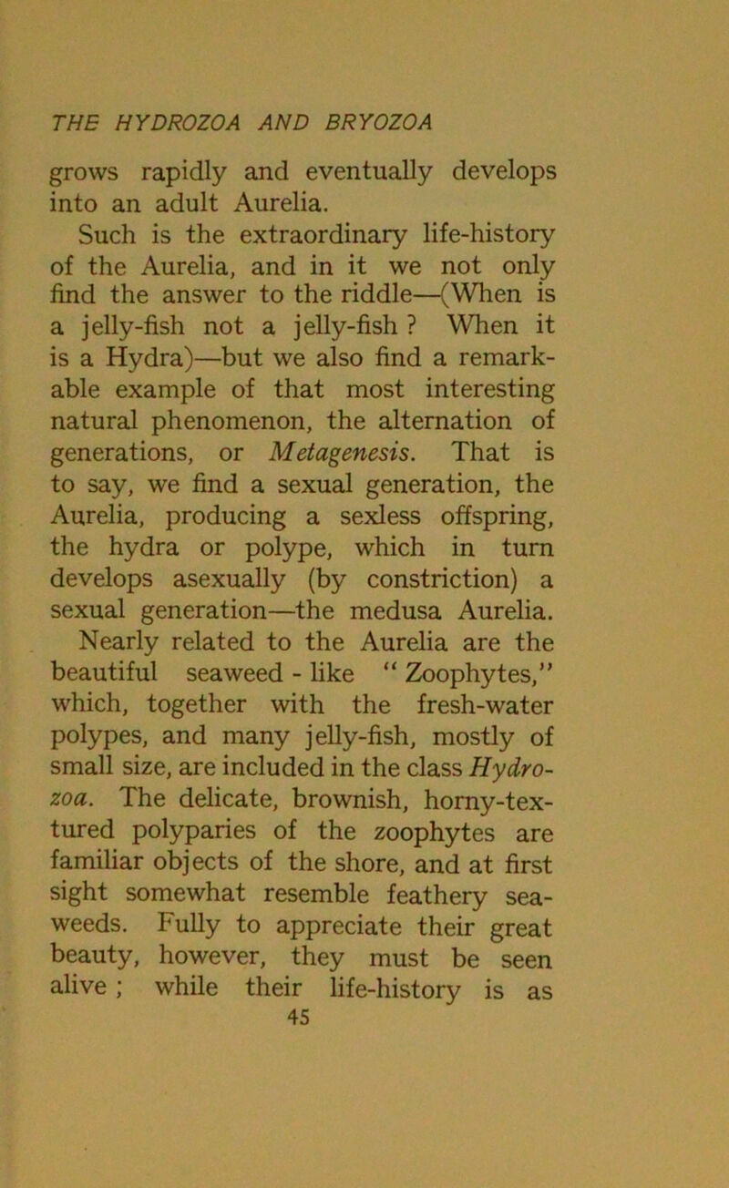 grows rapidly and eventually develops into an adult Aurelia. Such is the extraordinary life-history of the Aurelia, and in it we not only find the answer to the riddle—(When is a jelly-fish not a jelly-fish ? When it is a Hydra)—but we also find a remark- able example of that most interesting natural phenomenon, the alternation of generations, or Metagenesis. That is to say, we find a sexual generation, the Aurelia, producing a sexless offspring, the hydra or polype, which in turn develops asexually (by constriction) a sexual generation—the medusa Aurelia. Nearly related to the Aurelia are the beautiful seaweed - like “ Zoophytes,” which, together with the fresh-water polypes, and many jelly-fish, mostly of small size, are included in the class Hydro- zoa. The delicate, brownish, horny-tex- tured polyparies of the zoophytes are familiar objects of the shore, and at first sight somewhat resemble feathery sea- weeds. Fully to appreciate their great beauty, however, they must be seen alive; while their life-history is as