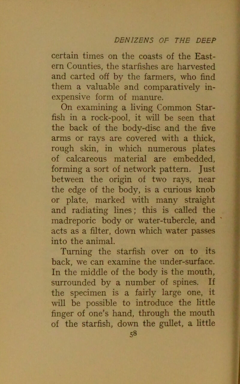 certain times on the coasts of the East- ern Counties, the starfishes are harvested and carted off by the farmers, who find them a valuable and comparatively in- expensive form of manure. On examining a living Common Star- fish in a rock-pool, it will be seen that the back of the body-disc and the five arms or rays are covered with a thick, rough skin, in which numerous plates of calcareous material are embedded, forming a sort of network pattern. Just between the origin of two rays, near the edge of the body, is a curious knob or plate, marked with many straight and radiating lines; this is called the madreporic body or water-tubercle, and acts as a filter, down which water passes into the animal. Turning the starfish over on to its back, we can examine the under-surface. In the middle of the body is the mouth, surrounded by a number of spines. If the specimen is a fairly large one, it will be possible to introduce the little finger of one’s hand, through the mouth of the starfish, down the gullet, a little