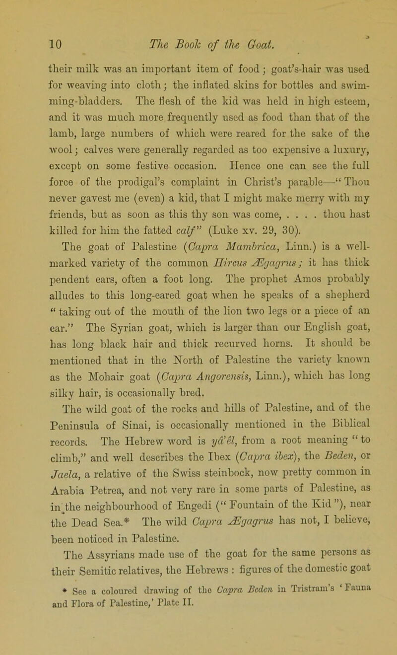 their milk was an important item of food; goat’s-hair was used for weaving into cloth; the inflated skins for bottles and swim- ming-bladders. The flesh of the kid was held in high esteem, and it was much more frequently used as food than that of the lamb, large numbers of which were reared for the sake of the wool; calves were generally regarded as too expensive a luxury, except on some festive occasion. Hence one can see the full force of the prodigal’s complaint in Christ’s parable—“ Thou never gavest me (even) a kid, that I might make merry with my friends, hut as soon as this thy son was come, .... thou hast killed for him the fatted calf” (Luke xv. 29, 30). The goat of Palestine (Capra Mambrica, Linn.) is a well- marked variety of the common Hircus AEgagrus; it has thick pendent ears, often a foot long. The prophet Amos probably alludes to this long-eared goat when he speaks of a shepherd “ taking out of the mouth of the lion two legs or a piece of an ear.” The Syrian goat, which is larger than our English goat, has long black hair and thick recurved horns. It should he mentioned that in the Horth of Palestine the variety known as the Mohair goat (Capra Angorensis, Linn.), which has long silky hair, is occasionally bred. The wild goat of the rocks and hills of Palestine, and of the Peninsula of Sinai, is occasionally mentioned in the Biblical records. The Hebrew word is yd’el, from a root meaning “ to climb,” and well describes the Ibex (Capra ibex), the Beden, or Jaela, a relative of the Swiss steinbock, now pretty common in Arabia Petrea, and not very rare in some parts of Palestine, as in the neighbourhood of Engedi (“ Fountain of the Kid ), near the Dead Sea* The wild Capra sEgagras has not, I believe, been noticed in Palestine. The Assyrians made use of the goat for the same persons as their Semitic relatives, the Hebrews : figures of the domestic goat * See a coloured drawing of tlio Capra Bcdcn in Tristram s ‘ Fauna and Flora of Palestine,’ Plate II.