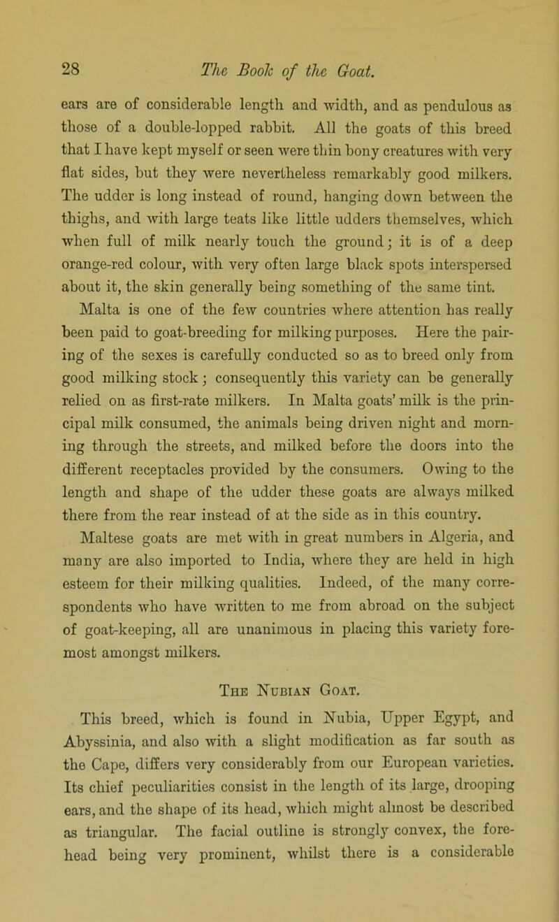 ears are of considerable length and width, and as pendulous as those of a double-lopped rabbit. All the goats of this breed that I have kept myself or seen were thin bony creatures with very flat sides, but they were nevertheless remarkably good milkers. The udder is long instead of round, hanging down between the thighs, and with large teats like little udders themselves, which when full of milk nearly touch the ground; it is of a deep orange-red colour, with very often large black spots interspersed about it, the skin generally being something of the same tint. Malta is one of the few countries where attention has really been paid to goat-breeding for milking purposes. Here the pair- ing of the sexes is carefully conducted so as to breed only from good milking stock; consequently this variety can be generally relied on as first-rate milkers. In Malta goats’ milk is the prin- cipal milk consumed, the animals being driven night and morn- ing through the streets, and milked before the doors into the different receptacles provided by the consumers. Owing to the length and shape of the udder these goats are always milked there from the rear instead of at the side as in this country. Maltese goats are met with in great numbers in Algeria, and many are also imported to India, where they are held in high esteem for their milking qualities. Indeed, of the many corre- spondents who have written to me from abroad on the subject of goat-keeping, all are unanimous in placing this variety fore- most amongst milkers. The Nubian Goat. This breed, which is found in Nubia, Upper Egypt, and Abyssinia, and also with a slight modification as far south as the Cape, differs very considerably from our European varieties. Its chief peculiarities consist in the length of its large, drooping ears, and the shape of its head, which might almost be described as triangular. The facial outline is strongly convex, the fore- head being very prominent, whilst there is a considerable