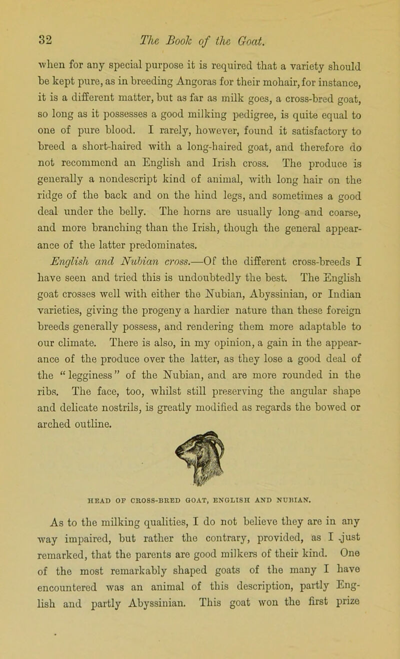 when for any special purpose it is required that a variety should he kept pure, as in breeding Angoras for their mohair, for instance, it is a different matter, hut as far as milk goes, a cross-bred goat, so long as it possesses a good milking pedigree, is quite equal to one of pure blood. I rarely, however, found it satisfactory to breed a short-haired with a long-haired goat, and therefore do not recommend an English and Irish cross. The produce is generally a nondescript kind of animal, witli long hair on the ridge of the back and on the hind legs, and sometimes a good deal under the belly. The horns are usually long and coarse, and more branching than the Irish, though the general appear- ance of the latter predominates. English and Nubian cross.—Of the different cross-breeds I have seen and tried this is undoubtedly the best. The English goat crosses well with either the Nubian, Abyssinian, or Indian varieties, giving the progeny a hardier nature than these foreign breeds generally possess, and rendering them more adaptable to our climate. There is also, in my opinion, a gain in the appear- ance of the produce over the latter, as they lose a good deal of the “legginess” of the Nubian, and are more rounded in the ribs. The face, too, whilst still preserving the angular shape and delicate nostrils, is greatly modified as regards the bowed or arched outline. HEAD OF CROSS-BRED GOAT, ENGLISH AND NUBIAN. As to the milking qualities, I do not believe they are in any way impaired, but rather the contrary, provided, as I -just remarked, that the parents are good milkers of their kind. One of the most remarkably shaped goats of the many I have encountered was an animal of this description, partly Eng- lish and partly Abyssinian. This goat won the first prize
