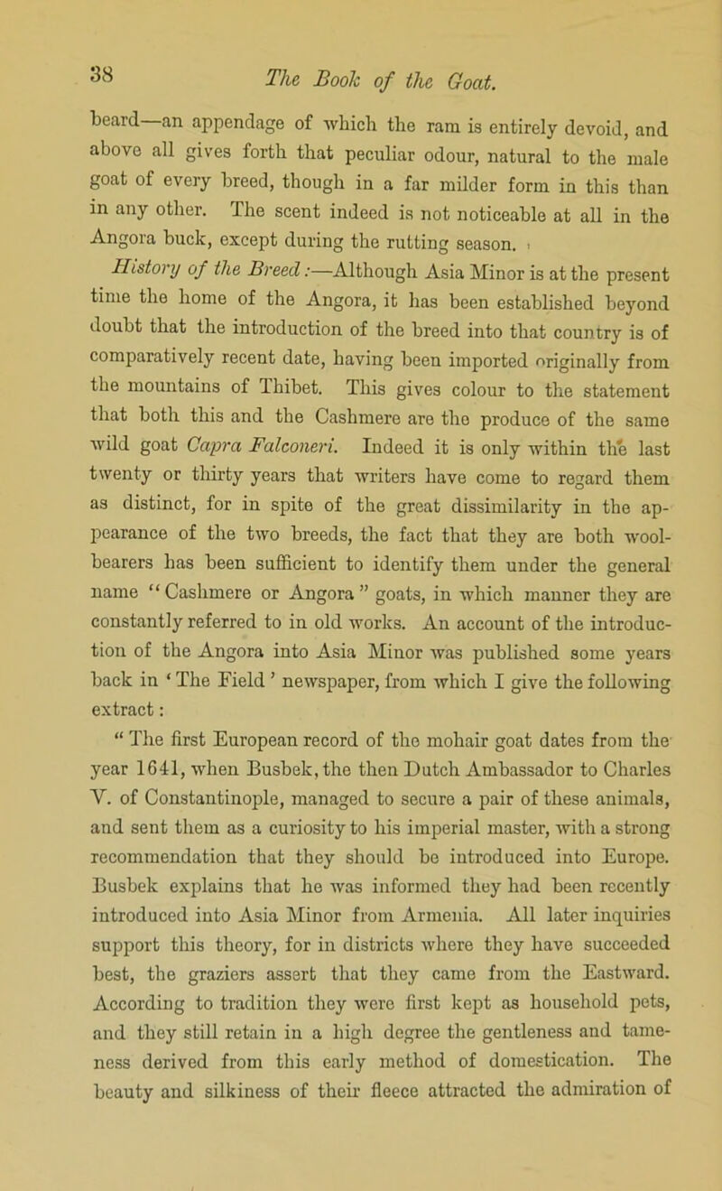 beard an appendage of which the ram is entirely devoid, and above all gives forth that peculiar odour, natural to the male goat of every breed, though in a far milder form in this than in any other. The scent indeed is not noticeable at all in the Angora buck, except during the rutting season. History of the Breed:—Although Asia Minor is at the present time the home of the Angora, it has been established beyond doubt that the introduction of the breed into that country is of comparatively recent date, having been imported originally from the mountains of Thibet. This gives colour to the statement that both this and the Cashmere are tlio produce of the same wild goat Capra Falconeri. Indeed it is only within the last twenty or thirty years that writers have come to regard them as distinct, for in spite of the great dissimilarity in the ap- pearance of the two breeds, the fact that they are both wool- bearers has been sufficient to identify them under the general name “ Cashmere or Angora ” goats, in which manner they are constantly referred to in old works. An account of the introduc- tion of the Angora into Asia Minor was published some years back in ‘ The Field ’ newspaper, from which I give the following extract: “ The first European record of the mohair goat dates from the year 1641, when Busbek,the then Dutch Ambassador to Charles V. of Constantinople, managed to secure a pair of these animals, and sent them as a curiosity to his imperial master, with a strong recommendation that they should be introduced into Europe. Busbek explains that he was informed they had been recently introduced into Asia Minor from Armenia. All later inquiries support this theory, for in districts where they have succeeded best, the graziers assert that they came from the Eastward. According to tradition they were first kept as household pets, and they still retain in a high degree the gentleness and tame- ness derived from this early method of domestication. The beauty and silkiness of their fleece attracted the admiration of