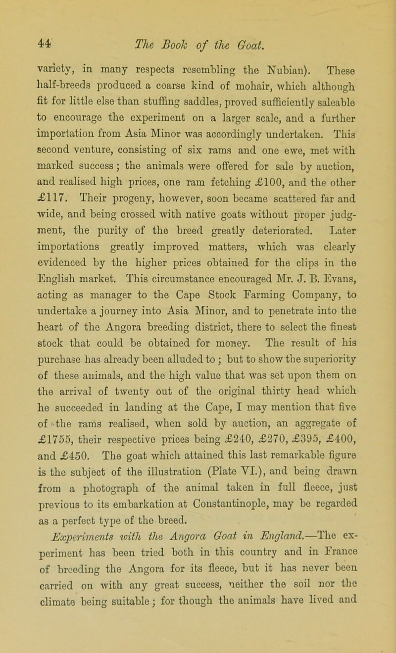variety, in many respects resembling the Nubian). These half-breeds produced a coarse kind of mohair, which although fit for little else than stuffing saddles, proved sufficiently saleable to encourage the experiment on a larger scale, and a further importation from Asia Minor was accordingly undertaken. This second venture, consisting of six rams and one ewe, met with marked success; the animals were offered for sale by auction, and realised high prices, one ram fetching £100, and the other £117. Their progeny, however, soon became scattered far and wide, and being crossed with native goats without proper judg- ment, the purity of the breed greatly deteriorated. Later importations greatly improved matters, which was clearly evidenced by the higher prices obtained for the clips in the English market. This circumstance encouraged Mr. J. E. Evans, acting as manager to the Cape Stock Farming Company, to undertake a journey into Asia Minor, and to penetrate into the heart of the Angora breeding district, there to select the finest stock that could be obtained for money. The result of his purchase has already been alluded to; but to show the superiority of these animals, and the high value that was set upon them on the arrival of twenty out of the original thirty head which he succeeded in landing at the Cape, I may mention that five of i the rams realised, when sold by auction, an aggregate of £1755, their respective prices being £240, £270, £395, £400, and £450. The goat which attained this last remarkable figure is the subject of the illustration (Plate VI.), and being drawn from a photograph of the animal taken in full fleece, just previous to its embarkation at Constantinople, may be regarded as a perfect type of the breed. Experiments with the Angora Goat in England.—The ex- periment has been tried both in this country and in France of breeding the Angora for its fleece, but it has never been carried on with any great success, neither the soil nor the climate being suitable; for though the animals have lived and