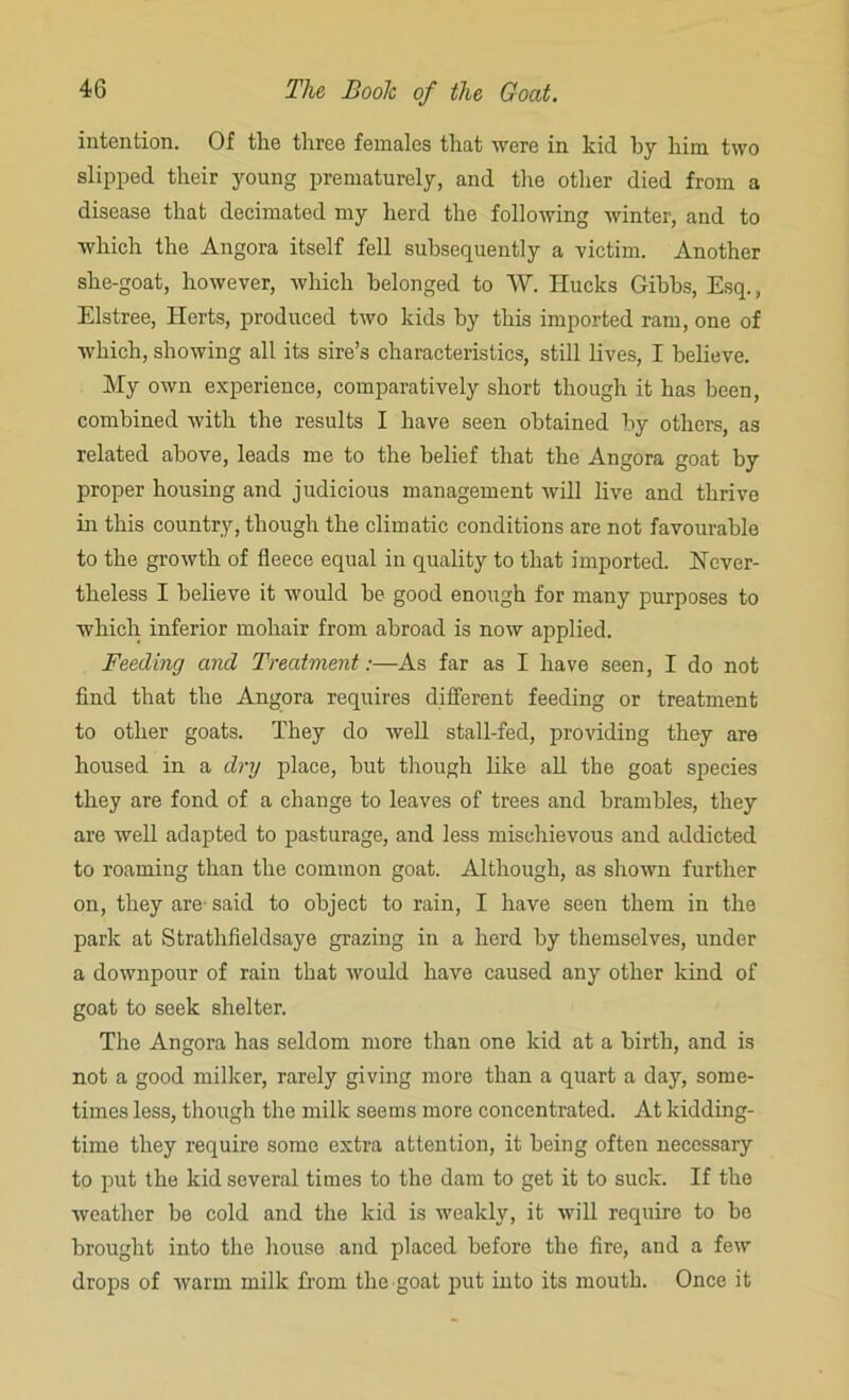 intention. Of the three females that were in kid by him two slipped their young prematurely, and the other died from a disease that decimated my herd the following winter, and to which the Angora itself fell subsequently a victim. Another she-goat, however, which belonged to W. Hucks Gibbs, Esq., Elstree, Herts, produced two kids by this imported ram, one of which, showing all its sire’s characteristics, still lives, I believe. My own experience, comparatively short though it has been, combined with the results I have seen obtained by others, as related above, leads me to the belief that the Angora goat by proper housing and judicious management will live and thrive in this country, though the climatic conditions are not favourable to the growth of fleece equal in quality to that imported. Never- theless I believe it would be good enough for many purposes to which inferior mohair from abroad is now applied. Feeding and Treatment:—As far as I have seen, I do not find that the Angora requires different feeding or treatment to other goats. They do well stall-fed, providing they are housed in a dry place, but though like all the goat species they are fond of a change to leaves of trees and brambles, they are well adapted to pasturage, and less mischievous and addicted to roaming than the common goat. Although, as shown further on, they are said to object to rain, I have seen them in the park at Strathfieldsaye grazing in a herd by themselves, under a downpour of rain that would have caused any other kind of goat to seek shelter. The Angora has seldom more than one kid at a birth, and is not a good milker, rarely giving more than a quart a day, some- times less, though the milk seems more concentrated. At kidding- time they require some extra attention, it being often necessary to put the kid several times to the dam to get it to suck. If the weather be cold and the kid is weakly, it will require to be brought into the house and placed before the fire, and a few drops of warm milk from the goat put into its mouth. Once it