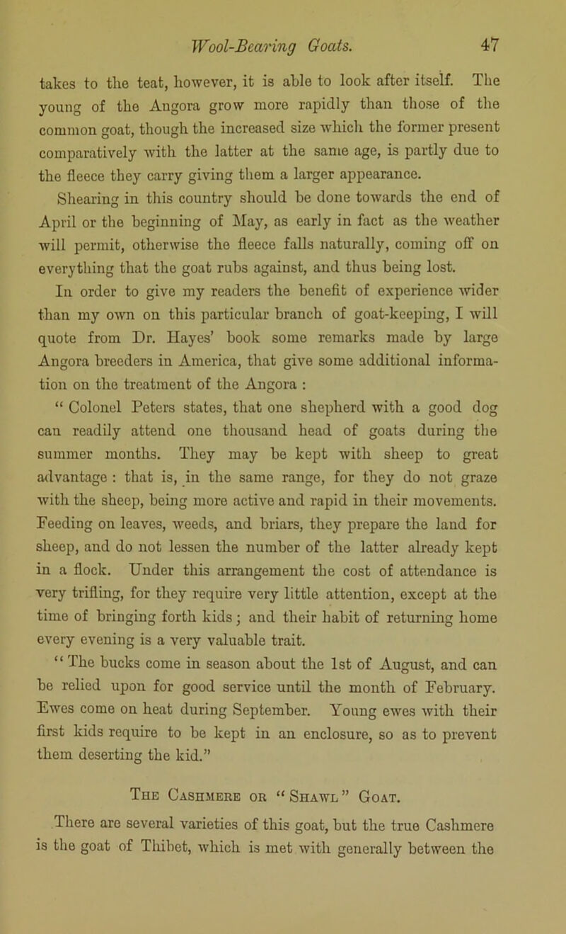takes to the teat, however, it is able to look after itself. The young of the Augora grow more rapidly than those of the common goat, though the increased size whicli the former present comparatively with the latter at the same age, is partly due to the fleece they carry giving them a larger appearance. Shearing in this country should be done towards the end of April or the beginning of May, as early in fact as the weather will permit, otherwise the fleece falls naturally, coming off on everything that the goat rubs against, and thus being lost. In order to give my readers the benefit of experience wider than my own on this particular branch of goat-keeping, I will quote from Dr. Hayes’ book some remarks made by large Angora breeders in America, that give some additional informa- tion on the treatment of the Angora : “ Colonel Peters states, that one shepherd with a good dog can readily attend one thousand head of goats during the summer months. They may be kept with sheep to great advantage : that is, in the same range, for they do not graze with the sheep, being more active and rapid in their movements. Deeding on leaves, weeds, and briars, they prepare the land for sheep, and do not lessen the number of the latter already kept in a flock. Under this arrangement the cost of attendance is very trifling, for they require very little attention, except at the time of bringing forth kids; and their habit of returning home every evening is a very valuable trait. “ The bucks come in season about the 1st of August, and can be relied upon for good service until the month of Pebruary. Ewes come on heat during September. Young ewes with their first kids require to be kept in an enclosure, so as to prevent them deserting the kid.” The Cashmere or “Shawl” Goat. Tiiere are several varieties of this goat, but the true Cashmere is the goat of Thibet, which is met with generally between the