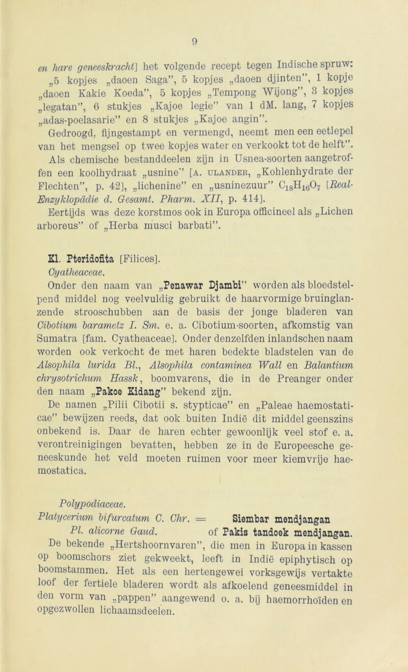 en hare geneeskracht] het volgende recept tegen Indische spruw: „5 kopjes „daoen Saga”, 5 kopjes „daoen djinten”, 1 kopje „daoen Kakie Koeda”, 5 kopjes „Tempong Wijong”, 3 kopjes „legatan”, 6 stukjes „Kajoe legie” van 1 dM. lang, 7 kopjes „adas-poelasarie” en 8 stukjes „Kajoe angin”. Gedroogd, fijngestampt en vermengd, neemt men een eetlepel van het mengsel op twee kopjes water en verkookt tot de helft”. Als chemische bestanddeelen zijn in Usnea-soorten aangetrof- fen een koolhydraat „usnine” [a. ulander, „Kohlenhydrate der Flechten”, p. 42], „lichenine” en „usninezuur” C18H1607 [Real- Enzyklopddie d. Gesamt. Pharm. XII, p. 414]. Eertijds was deze korstmos ook in Europa officineel als „Lichen arboreus” of „Herba musci barbati”. KI. Pteridofita [Filices]. Gyatheaceae. Onder den naam van „Penawar Djambi” worden als bloedstel- pend middel nog veelvuldig gebruikt de haarvormige bruinglan- zende strooschubben aan de basis der jonge bladeren van Cibotium barametz I. Sm. e. a. Cibotium-soorten, afkomstig van Sumatra [fam. Cyatheaceae]. Onder denzelfden inlandschen naam worden ook verkocht de met haren bedekte bladstelen van de Alsophüa lurida BI., Alsophila contaminea Wall en Balantium chrysotrichum Hassk, boomvarens, die in de Preanger onder den naam „Pakoe Kidang” bekend zijn. De namen „Pilii Cibotii s. stypticae” en „Paleae haemostati- cae” bewijzen reeds, dat ook buiten Indië dit middel geenszins onbekend is. Daar de haren echter gewoonlijk veel stof e. a. verontreinigingen bevatten, hebben ze in de Europeesche ge- neeskunde het veld moeten ruimen voor meer kiem vrije hae- mostatica. Polypodiaceae. Platycerium bifurcatum C. Chr. = Siembar mendjangan PI. alicorne Gaud. of Pakis tandoek mendjangan. De bekende „Hertshoornvaren”, die men in Europa in kassen op boomschors ziet gekweekt, leeft in Indië epiphytisch op boomstammen. Het als een hertengewei vorksgewijs vertakte loof der fertiele bladeren wordt als afkoelend geneesmiddel in den vorm van „pappen” aangewend o. a. bij haemorrhoïden en opgezwollen lichaamsdeelen.