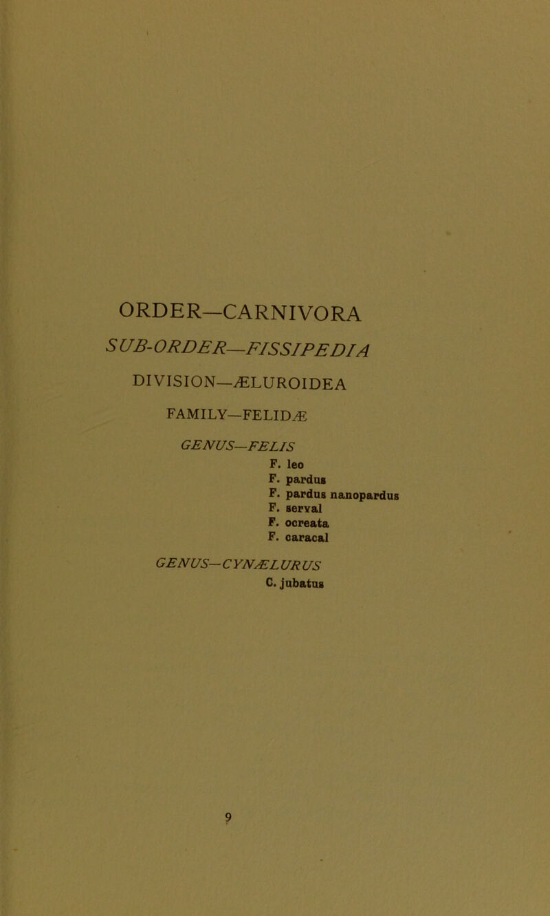 ORDER—CARNIVORA 5 UB-ORDER—FISSIPEDIA DIVISION—^ELUROIDEA FAMILY—FELIDAE GENUS— FELIS F. leo F. pardus F. pardus nanopardus F. serval F. ocreata F. caracal GENUS— C YN/EL UR US C.jubatus