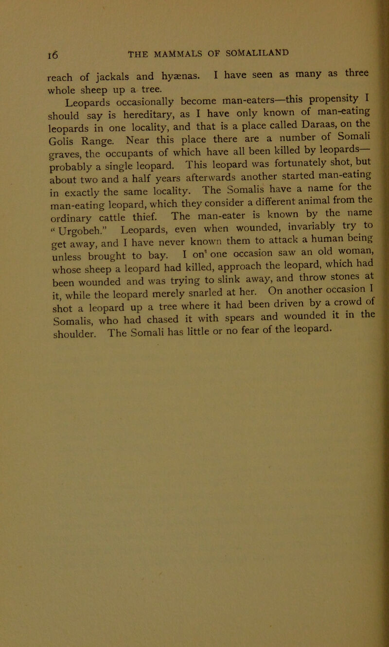 reach of jackals and hyaenas. I have seen as many as three whole sheep up a tree. Leopards occasionally become man-eaters this propensity I should say is hereditary, as I have only known of man-eating leopards in one locality, and that is a place called Daraas, on the Golis Range. Near this place there are a number of Somali graves, the occupants of which have all been killed by leopards probably a single leopard. This leopard was fortunately shot, but about two and a half years afterwards another started man-eating in exactly the same locality. The Somalis have a name for the man-eating leopard, which they consider a different animal from the ordinary cattle thief. The man-eater is known by the name «Urgobeh.” Leopards, even when wounded, invariably try to get away, and I have never known them to attack a human being unless brought to bay. I on’ one occasion saw an old woman, whose sheep a leopard had killed, approach the leopard, which had been wounded and was trying to slink away, and throw stones at it while the leopard merely snarled at her. On another occasion shot a leopard up a tree where it had been driven by a crowd of Somalis, who had chased it with spears and wounded it in the shoulder. The Somali has little or no fear of the leopard.