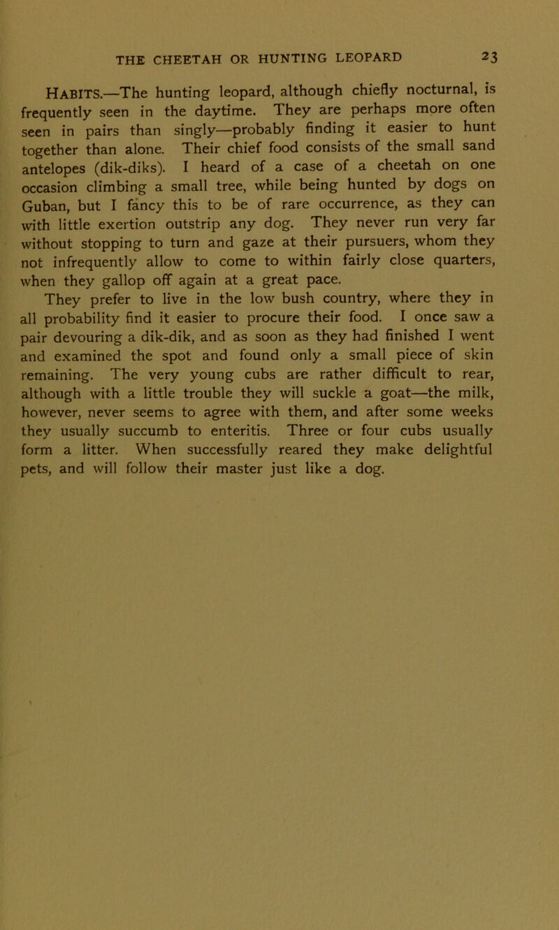 Habits.—The hunting leopard, although chiefly nocturnal, is frequently seen in the daytime. 1 hey are perhaps more often seen in pairs than singly—probably finding it easier to hunt together than alone. Their chief food consists of the small sand antelopes (dik-diks). I heard of a case of a cheetah on one occasion climbing a small tree, while being hunted by dogs on Guban, but I fancy this to be of rare occurrence, as they can with little exertion outstrip any dog. They never run very far without stopping to turn and gaze at their pursuers, whom they not infrequently allow to come to within fairly close quarters, when they gallop off again at a great pace. They prefer to live in the low bush country, where they in all probability find it easier to procure their food. I once saw a pair devouring a dik-dik, and as soon as they had finished I went and examined the spot and found only a small piece of skin remaining. The very young cubs are rather difficult to rear, although with a little trouble they will suckle a goat—the milk, however, never seems to agree with them, and after some weeks they usually succumb to enteritis. Three or four cubs usually form a litter. When successfully reared they make delightful pets, and will follow their master just like a dog.