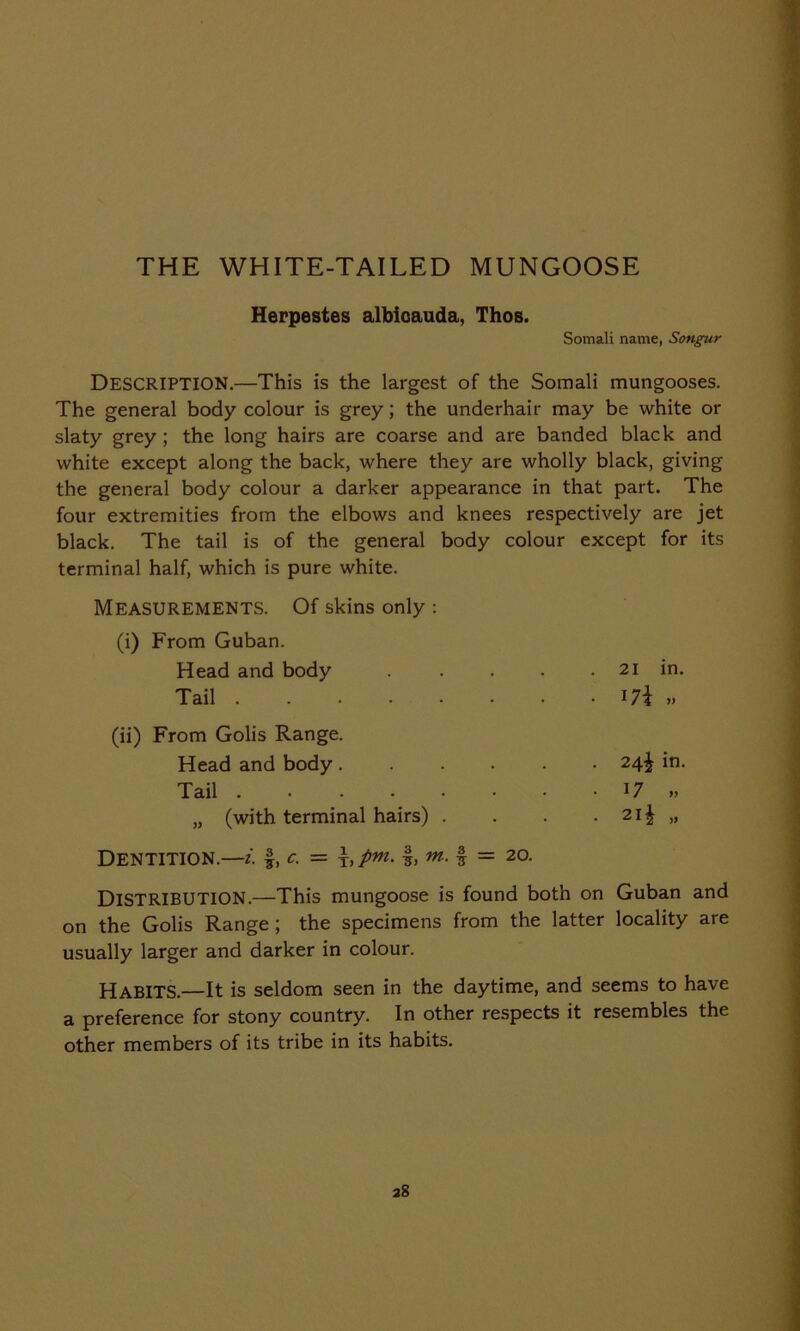 THE WHITE-TAILED MUNGOOSE Herpestes albioauda, Thos. Somali name, Songur DESCRIPTION.—This is the largest of the Somali mungooses. The general body colour is grey; the underhair may be white or slaty grey; the long hairs are coarse and are banded black and white except along the back, where they are wholly black, giving the general body colour a darker appearance in that part. The four extremities from the elbows and knees respectively are jet black. The tail is of the general body colour except for its terminal half, which is pure white. Measurements. Of skins only : (i) From Guban. Head and body Tail (ii) From Golis Range. Head and body.... Tail ...... „ (with terminal hairs) . Dentition.—i. f, c. = L pm. #, m. § = 20. 21 in. 17\ » 24^ in. 17 „ 2 H ,i DISTRIBUTION.—This mungoose is found both on Guban and on the Golis Range; the specimens from the latter locality are usually larger and darker in colour. HABITS.—It is seldom seen in the daytime, and seems to have a preference for stony country. In other respects it resembles the other members of its tribe in its habits.