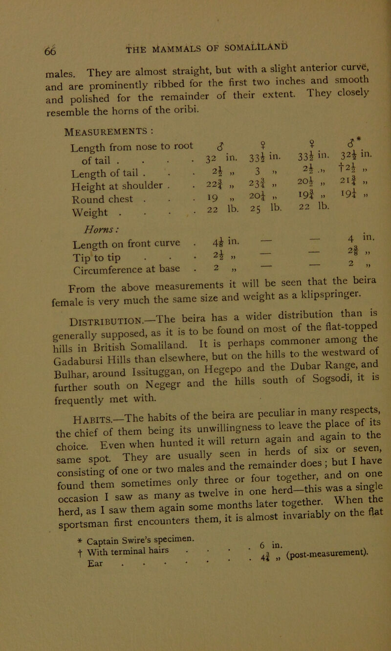 males They are almost straight, but with a slight anterior curve, and are prominently ribbed for the first two inches and smooth and polished for the remainder of their extent. They closely resemble the horns of the oribi. 32 in. 33i in. » 3 yy 22-f » 23l yy l9 yy 20^ yy 22 lb. 25 lb. ¥ 33i in- 2| 20i „ i9f .. 22 lb. 4& in- 2| „ 2 „ a* 32i in- |2j „ 21 f „ i9i .» 4 2\ 2 Measurements : Length from nose to root of tail . Length of tail . Height at shoulder . Round chest . Weight . Horns: Length on front curve Tip to tip Circumference at base From the above measurements it will be seen that the beira female is very much the same size and weight as a khpspnnger. DISTRIBUTION.—The beira has a wider distribution than is generally supposed, as it is to be found on most of the flat-toppe hills in ^British Somaliland. It is perhaps commoner among the Gadabursi Hills than elsewhere, but on the hills to the westward of B mar around Issituggan, on Hegepo and the Dubar Range and further south on Negegr and the hills south of Sogsod,, it » frequently met with. thedUrfrfTtem ££ ZlZtPfiZ -ice. itwm return agarn „ tot. £ llesLd the .t 1 have found them sometimes only three or g > j gje occasion I saw as many:as tweive r When fhe Invariably on the dat * Captain Swire’s specimen. ■\ With terminal hairs Ear 6 in. 41 }> (post-measurement).