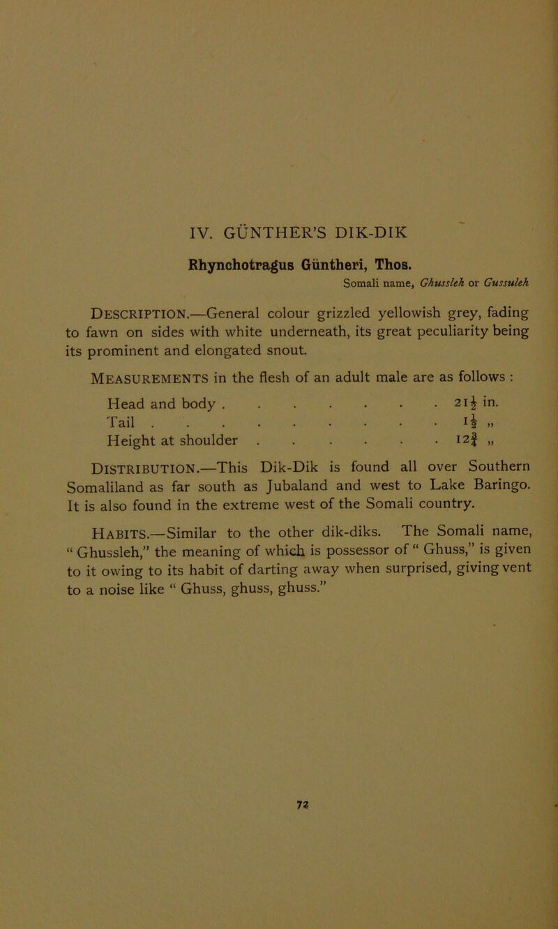 IV. GUNTHER’S DIK-DIK Rhynchotragus Giintheri, Thos. Somali name, Ghusslek or Gussulek DESCRIPTION.—General colour grizzled yellowish grey, fading to fawn on sides with white underneath, its great peculiarity being its prominent and elongated snout. Measurements in the flesh of an adult male are as follows : Head and body 2i£ in. Tail 11 „ Height at shoulder I2f „ DISTRIBUTION.—This Dik-Dik is found all over Southern Somaliland as far south as Jubaland and west to Lake Baringo. It is also found in the extreme west of the Somali country. HABITS.—Similar to the other dik-diks. The Somali name, “ Ghussleh,” the meaning of which is possessor of “ Ghuss,” is given to it owing to its habit of darting away when surprised, giving vent to a noise like “ Ghuss, ghuss, ghuss.”