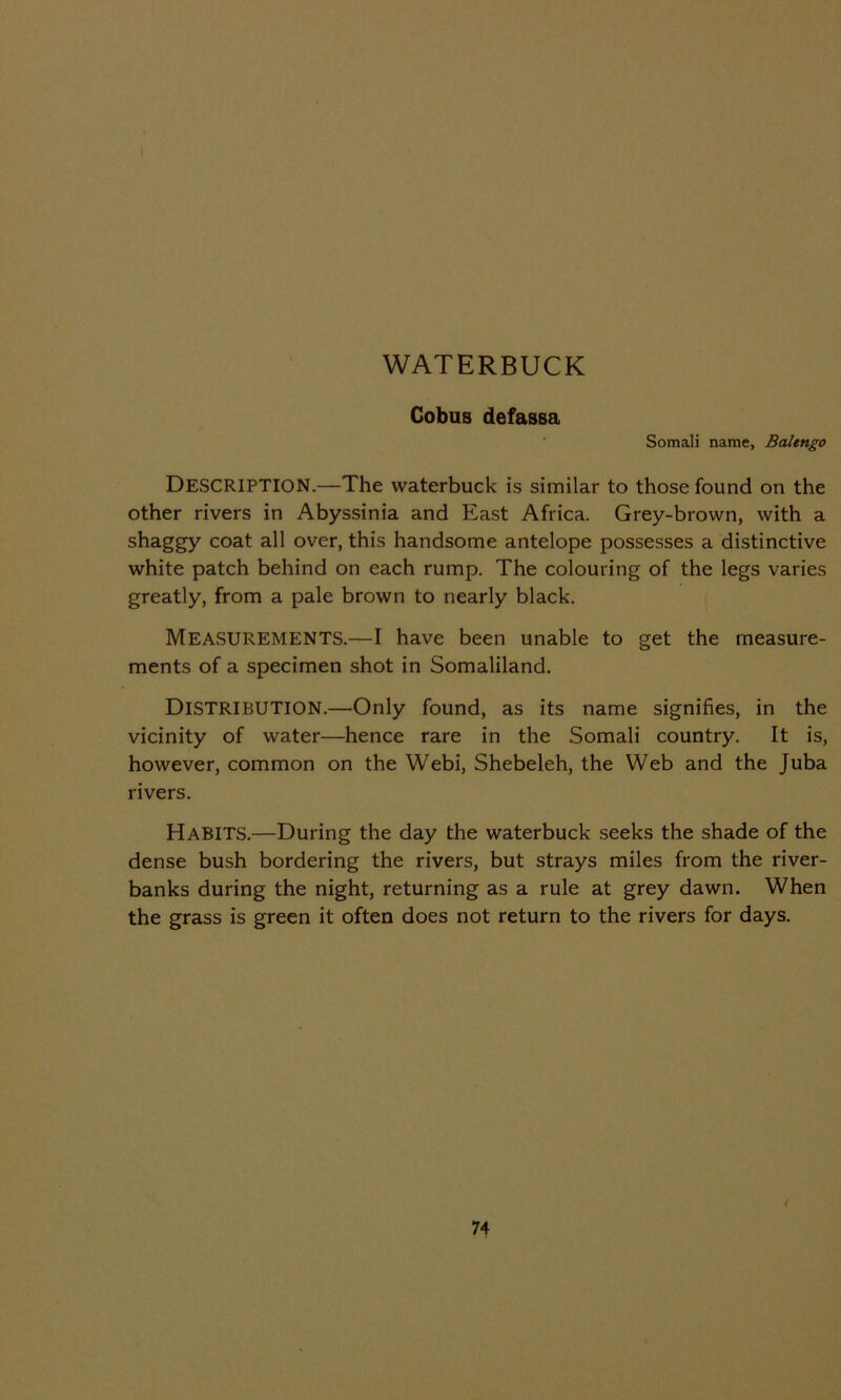 WATERBUCK Cobus defassa Somali name, Balengo DESCRIPTION.—The waterbuck is similar to those found on the other rivers in Abyssinia and East Africa. Grey-brown, with a shaggy coat all over, this handsome antelope possesses a distinctive white patch behind on each rump. The colouring of the legs varies greatly, from a pale brown to nearly black. Measurements.—I have been unable to get the measure- ments of a specimen shot in Somaliland. DISTRIBUTION.—Only found, as its name signifies, in the vicinity of water—hence rare in the Somali country. It is, however, common on the Webi, Shebeleh, the Web and the Juba rivers. Habits.—During the day the waterbuck seeks the shade of the dense bush bordering the rivers, but strays miles from the river- banks during the night, returning as a rule at grey dawn. When the grass is green it often does not return to the rivers for days.