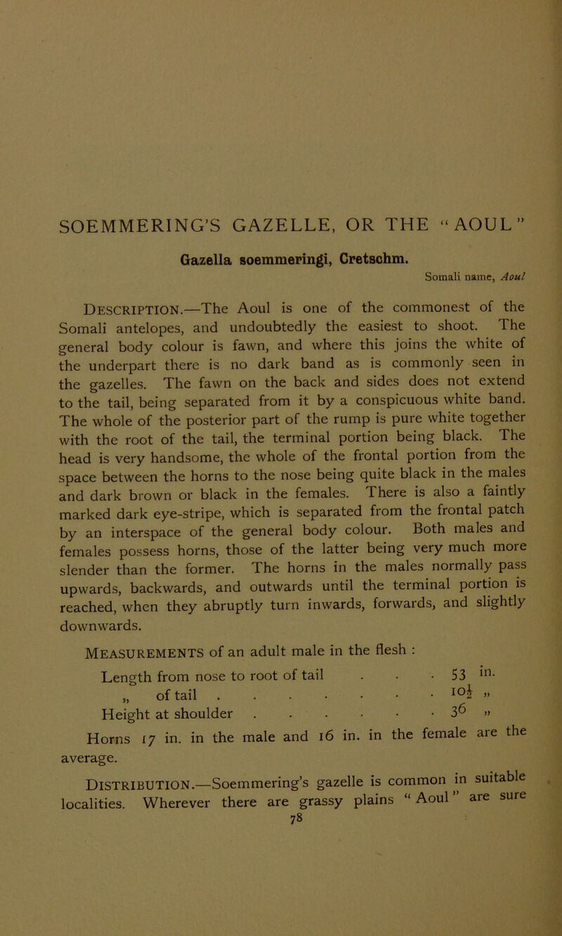 SOEMMERING’S GAZELLE, OR THE “AOUL” Gazella soemmeringi, Cretschm. Somali name, Aoul Description.—The Aoul is one of the commonest of the Somali antelopes, and undoubtedly the easiest to shoot. The general body colour is fawn, and where this joins the white of the underpart there is no dark band as is commonly seen in the gazelles. The fawn on the back and sides does not extend to the tail, being separated from it by a conspicuous white band. The whole of the posterior part of the rump is pure white together with the root of the tail, the terminal portion being black. The head is very handsome, the whole of the frontal portion from the space between the horns to the nose being quite black in the males and dark brown or black in the females. There is also a faintly marked dark eye-stripe, which is separated from the frontal patch by an interspace of the general body colour. Both males and females possess horns, those of the latter being very much more slender than the former. The horns in the males normally pass upwards, backwards, and outwards until the terminal portion is reached, when they abruptly turn inwards, forwards, and slightly downwards. MEASUREMENTS of an adult male in the flesh : Length from nose to root of tail . . -53 „ of tail io| „ Height at shoulder 3^ » Horns 17 in. in the male and 16 in. in the female are the average. DISTRIBUTION.—Soemmering’s gazelle is common in suitable localities. Wherever there are grassy plains “Aoul’’ are sure