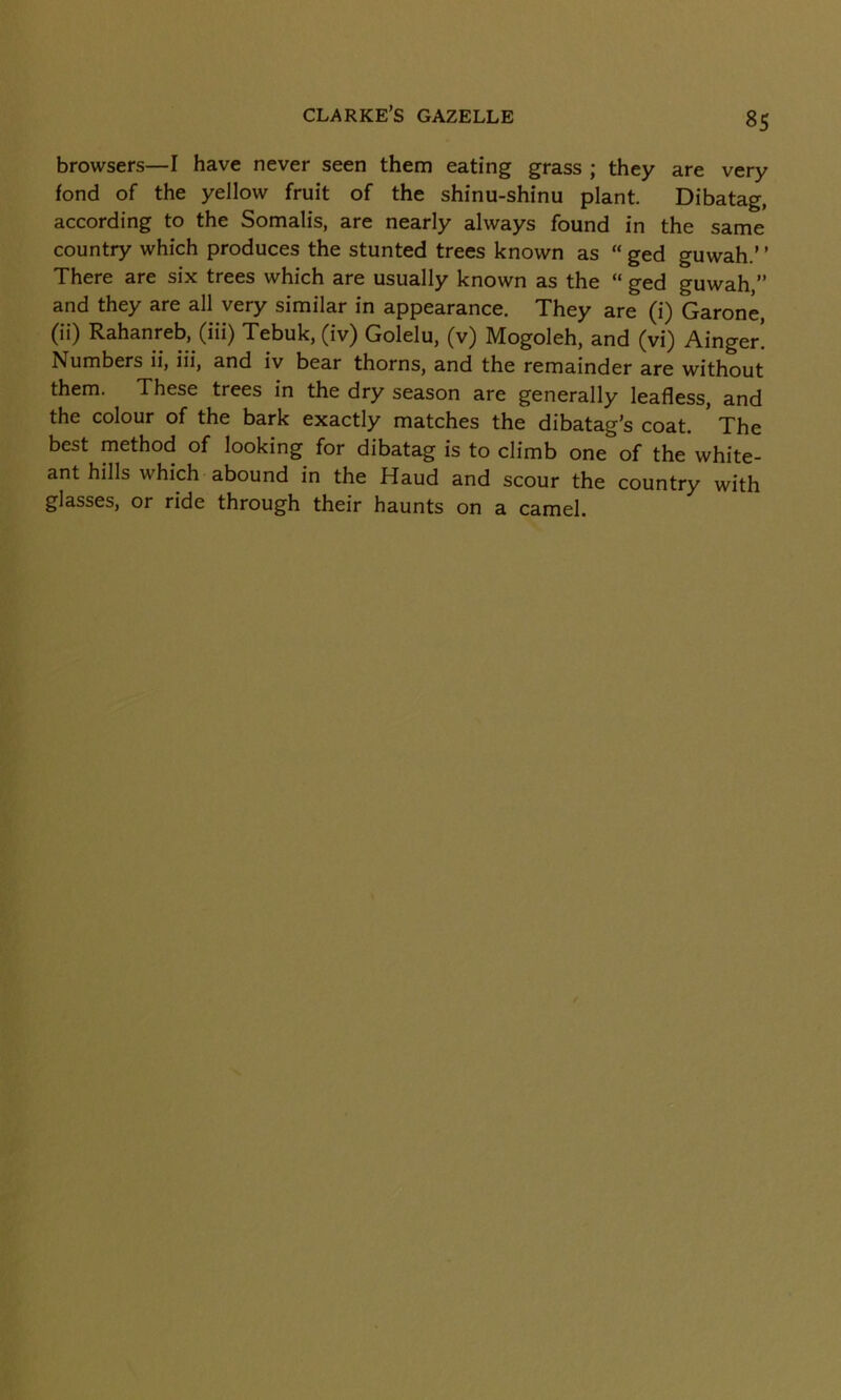 browsers—I have never seen them eating grass ; they are very fond of the yellow fruit of the shinu-shinu plant. Dibatag, according to the Somalis, are nearly always found in the same country which produces the stunted trees known as “ ged guwah.’ ’ There are six trees which are usually known as the “ ged guwah,” and they are all very similar in appearance. They are (i) Garone, (ii) Rahanreb, (iii) Tebuk, (iv) Golelu, (v) Mogoleh, and (vi) Ainger! Numbers ii, iii, and iv bear thorns, and the remainder are without them. These trees in the dry season are generally leafless, and the colour of the bark exactly matches the dibatag’s coat. ’ The best method of looking for dibatag is to climb one of the white- ant hills which abound in the Haud and scour the country with glasses, or ride through their haunts on a camel.