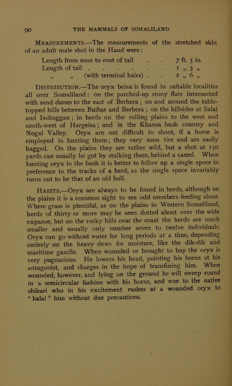 go Measurements.—The measurements of the stretched skin of an adult male shot in the Haud were: Length from nose to root of tail 7 ft. 5 in. Length of tail 1 „ 3 » „ „ (with terminal hairs) . 2 » 6 ,, DISTRIBUTION.—The oryx beisa is found in suitable localities all over Somaliland : on the parched-up stony flats intersected with sand dunes to the east of Berbera ; on and around the table- topped hills between Bulhar and Berbera ; on the hillsides at Salai and Issituggan ; in herds on the rolling plains to the west and south-west of Hargeisa; and in the Khansa bush country and Nogal Valley. Oryx are not difficult to shoot, if a horse is employed in hunting them; they very soon tire and are easily bagged. On the plains they are rather wild, but a shot at 150 yards can usually be got by stalking them, behind a camel. When hunting oryx in the bush it is better to follow up a single spoor in preference to the tracks of a herd, as the single spoor invariably turns out to be that of an old bull. HABITS.—Oryx are always to be found in herds, although on the plains it is a common sight to see odd members feeding alone. Where grass is plentiful, as on the plains in Western Somaliland, herds of thirty or more may be seen dotted about over the wide expanse, but on the rocky hills near the coast the herds are much smaller and usually only number seven to twelve individuals. Oryx can go without water for long periods at a time, depending entirely on the heavy dews for moisture, like the dik-dik and maritime gazelle. When wounded or brought to bay the oryx is very pugnacious. He lowers his head, pointing his horns at his antagonist, and charges in the hope of transfixing him. When wounded, however, and lying on the ground he will sweep round in a semicircular fashion with his horns, and woe to the native shikari who in his excitement rushes at a wounded oryx to “ halal ” him without due precautions.