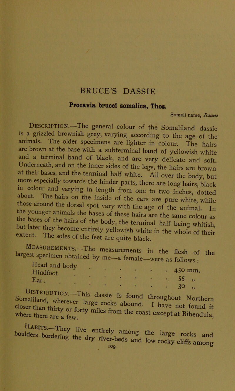 BRUCE’S DASSIE ProoaYia brucei somalica, Thos. Somali name, Baune Description. The general colour of the Somaliland dassie is a grizzled brownish grey, varying according to the age of the animals. The older specimens are lighter in colour. The hairs are brown at the base with a subterminal band of yellowish white and a terminal band of black, and are very delicate and soft Underneath, and on the inner sides of the legs, the hairs are brown at their bases, and the terminal half white. All over the body, but more especially towards the hinder parts, there are long hairs black ” C0'0ur™t varyinS in legth from one to two inches, dotted about. The ham on the inside of the ears are pure white, while those around the dorsal spot vary with the age of the animal. In he younger animals the bases of these hairs are the same colour as f>ases of the hairs of the body, the terminal half being whitish extern T°mf wely yellowish white in the -hole of their’ extent. The soles of the feet are quite black. MEASUREMENTS.-The measurements in the flesh of argest specimen obtained by me—a female—were as follows : Head and body Hindfoot 450 mm. • 55 „ the Ear. 30 Somalfland^wherever^ iT 'S /°Und throughout Northern