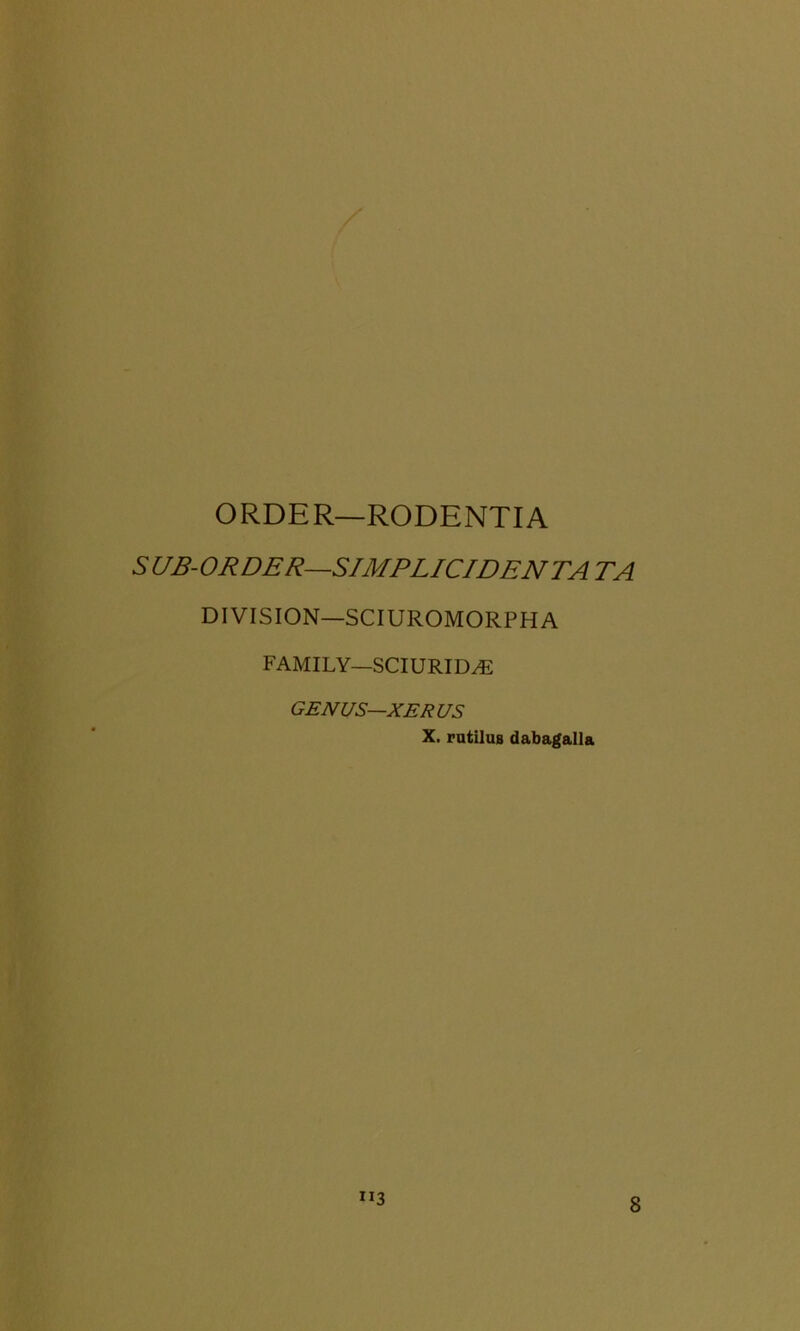 ORDER—RODENTIA SUB-ORDER—SIMPLICIDENTA TA DIVISION—SCIUROMORPH A FAMILY—SCIURID^R GENUS—XERUS X. rutiluB dabagalla “3 8