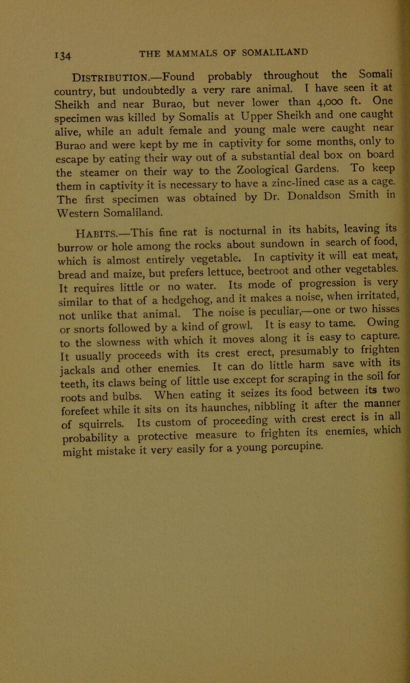 THE MAMMALS OF SOMALILAND Distribution.—Found probably throughout the Somali country, but undoubtedly a very rare animal. I have seen it at Sheikh and near Burao, but never lower than 4,000 ft. One specimen was killed by Somalis at Upper Sheikh and one caught alive, while an adult female and young male were caught near Burao and were kept by me in captivity for some months, only to escape by eating their way out of a substantial deal box on board the steamer on their way to the Zoological Gardens. To keep them in captivity it is necessary to have a zinc-lined case as a cage. The first specimen was obtained by Dr. Donaldson Smith in Western Somaliland. HABITS. This fine rat is nocturnal in its habits, leaving its burrow or hole among the rocks about sundown in search of food, which is almost entirely vegetable. In captivity it will eat meat, bread and maize, but prefers lettuce, beetroot and other vegetables. It requires little or no water. Its mode of progression is very similar to that of a hedgehog, and it makes a noise, when irritated, not unlike that animal. The noise is peculiar,—one or two hisses or snorts followed by a kind of growl. It is easy to tame. Owing to the slowness with which it moves along it is easy to capture. It usually proceeds with its crest erect, presumably to frighten jackals and other enemies. It can do little harm save with its teeth its claws being of little use except for scraping in the soil for roots and bulbs. When eating it seizes its food between its two forefeet while it sits on its haunches, nibbling it after the manner of squirrels. Its custom of proceeding with crest erect is in a probability a protective measure to frighten its enemies, which might mistake it very easily for a young porcupine.