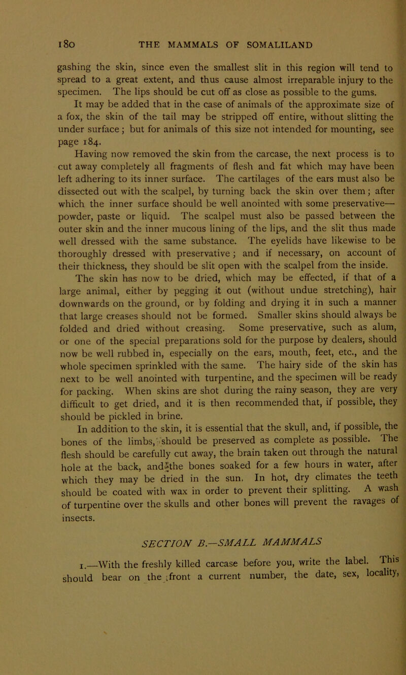 gashing the skin, since even the smallest slit in this region will tend to spread to a great extent, and thus cause almost irreparable injury to the specimen. The lips should be cut off as close as possible to the gums. It may be added that in the case of animals of the approximate size of a fox, the skin of the tail may be stripped off entire, without slitting the under surface; but for animals of this size not intended for mounting, see page 184. Having now removed the skin from the carcase, the next process is to cut away completely all fragments of flesh and fat which may have been left adhering to its inner surface. The cartilages of the ears must also be dissected out with the scalpel, by turning back the skin over them; after which the inner surface should be well anointed with some preservative— powder, paste or liquid. The scalpel must also be passed between the outer skin and the inner mucous lining of the lips, and the slit thus made well dressed with the same substance. The eyelids have likewise to be thoroughly dressed with preservative; and if necessary, on account of their thickness, they should be slit open with the scalpel from the inside. The skin has now to be dried, which may be effected, if that of a large animal, either by pegging it out (without undue stretching), hair downwards on the ground, or by folding and drying it in such a manner that large creases should not be formed. Smaller skins should always be folded and dried without creasing. Some preservative, such as alum, or one of the special preparations sold for the purpose by dealers, should now be well rubbed in, especially on the ears, mouth, feet, etc., and the whole specimen sprinkled with the same. The hairy side of the skin has next to be well anointed with turpentine, and the specimen will be ready for packing. When skins are shot during the rainy season, they are very difficult to get dried, and it is then recommended that, if possible, they should be pickled in brine. In addition to the skin, it is essential that the skull, and, if possible, the bones of the limbs,' should be preserved as complete as possible. The flesh should be carefully cut away, the brain taken out through the natural hole at the back, and^the bones soaked for a few hours in water, after which they may be dried in the sun. In hot, dry climates the teeth should be coated with wax in order to prevent their splitting. A wash of turpentine over the skulls and other bones will prevent the ravages of insects. SECTION B — SMALL MAMMALS I, With the freshly killed carcase before you, write the label. This should bear on the ;front a current number, the date, sex, locality,
