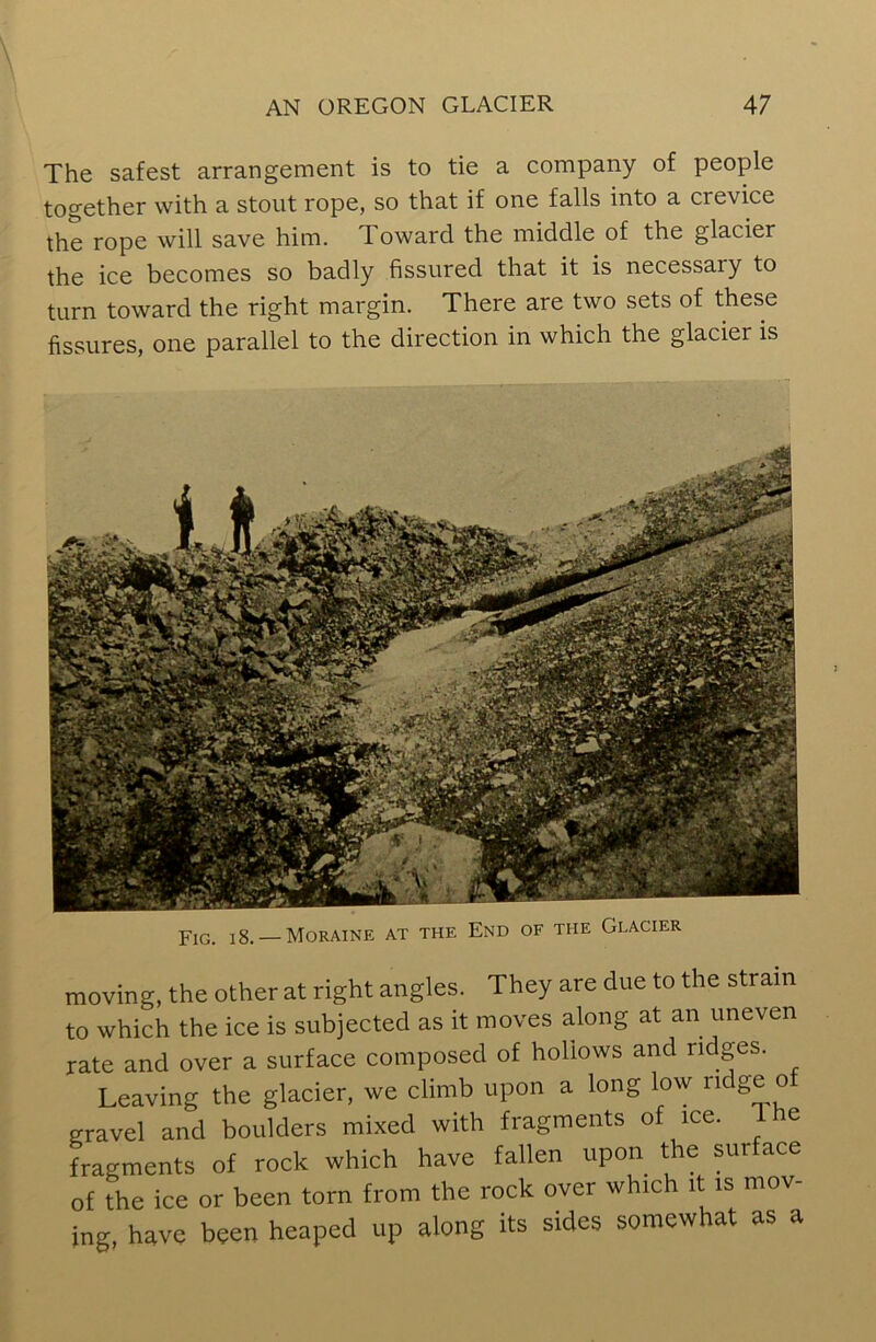 The safest arrangement is to tie a company of people together with a stout rope, so that if one falls into a crevice the rope will save him. Toward the middle of the glacier the ice becomes so badly fissured that it is necessaiy to turn toward the right margin. There are two sets of these fissures, one parallel to the direction in which the glacier is Fig. i 8. —Moraine at the End of the Glacier moving, the other at right angles. They are due to the strain to which the ice is subjected as it moves along at an uneven rate and over a surface composed of hollows and ridges. Leaving the glacier, we climb upon a long low ridge of gravel and boulders mixed with fragments of ice. ie fragments of rock which have fallen upon the sur ace of the ice or been torn from the rock over which it is mov- ing, have been heaped up along its sides somewhat as a