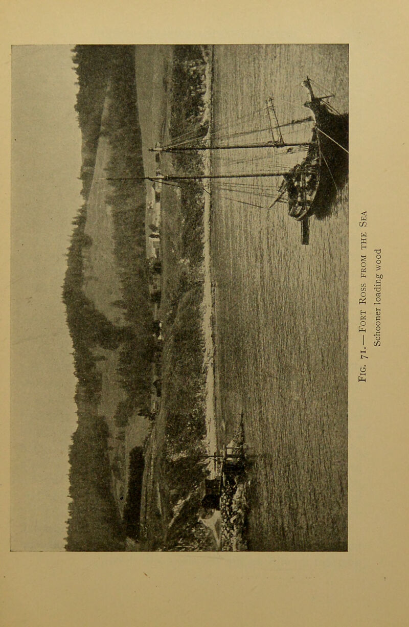 Fig. 71. — Fort Ross from the Sea Schooner loading wood