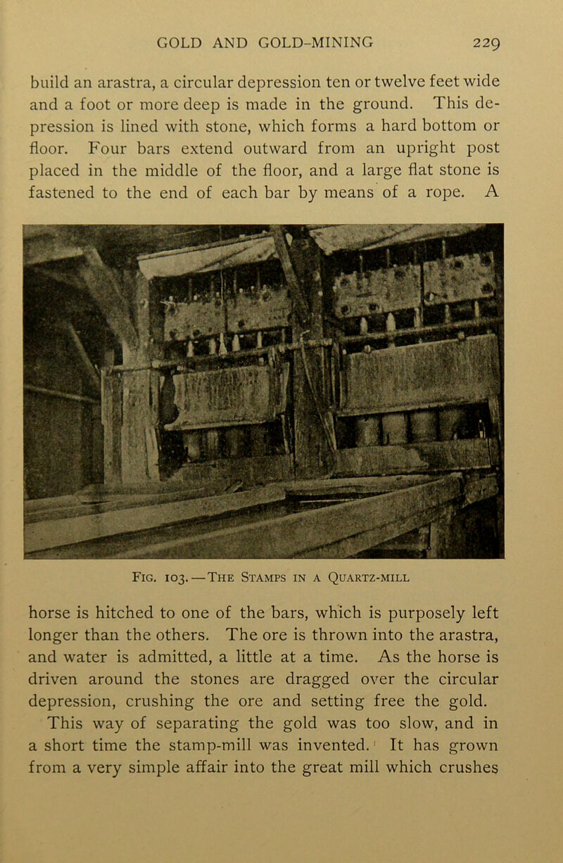 build an arastra, a circular depression ten or twelve feet wide and a foot or more deep is made in the ground. This de- pression is lined with stone, which forms a hard bottom or floor. Four bars extend outward from an upright post placed in the middle of the floor, and a large flat stone is fastened to the end of each bar by means of a rope. A horse is hitched to one of the bars, which is purposely left longer than the others. The ore is thrown into the arastra, and water is admitted, a little at a time. As the horse is driven around the stones are dragged over the circular depression, crushing the ore and setting free the gold. This way of separating the gold was too slow, and in a short time the stamp-mill was invented. It has grown from a very simple affair into the great mill which crushes