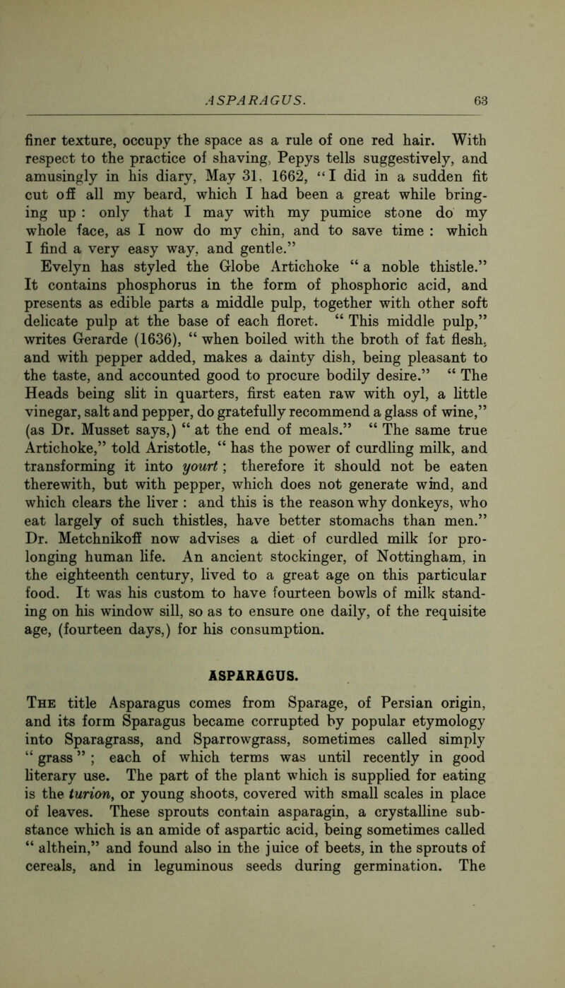 finer texture, occupy the space as a rule of one red hair. With respect to the practice of shaving, Pepys tells suggestively, and amusingly in his diary. May 3P 1662, “I did in a sudden fit cut off all my beard, which I had been a great while bring- ing up : only that I may with my pumice stone do my whole face, as I now do my chin, and to save time : which I find a very easy way, and gentle.” Evelyn has styled the Globe Artichoke “ a noble thistle.” It contains phosphorus in the form of phosphoric acid, and presents as edible parts a middle pulp, together with other soft delicate pulp at the base of each floret. “ This middle pulp,” writes Gerarde (1636), “ when boiled with the broth of fat flesh, and with pepper added, makes a dainty dish, being pleasant to the taste, and accounted good to procure bodily desire.” “ The Heads being slit in quarters, first eaten raw with oyl, a little vinegar, salt and pepper, do gratefully recommend a glass of wine,” (as Dr. Musset says,) “ at the end of meals.” “ The same true Artichoke,” told Aristotle, “ has the power of curdling milk, and transforming it into yourt; therefore it should not be eaten therewith, but with pepper, which does not generate wind, and which clears the liver : and this is the reason why donkeys, who eat largely of such thistles, have better stomachs than men.” Dr. Metchnikofi now advises a diet of curdled milk for pro- longing human life. An ancient stockinger, of Nottingham, in the eighteenth century, lived to a great age on this particular food. It was his custom to have fourteen bowls of milk stand- ing on his window sill, so as to ensure one daily, of the requisite age, (fourteen days,) for his consumption. ASPARAGUS. The title Asparagus comes from Sparage, of Persian origin, and its form Sparagus became corrupted by popular etymology into Sparagrass, and Sparrowgrass, sometimes called simply “ grass ” ; each of which terms was until recently in good literary use. The part of the plant which is supplied for eating is the turion, or young shoots, covered with small scales in place of leaves. These sprouts contain asparagin, a crystalline sub- stance which is an amide of aspartic acid, being sometimes called “ althein,” and found also in the juice of beets, in the sprouts of cereals, and in leguminous seeds during germination. The