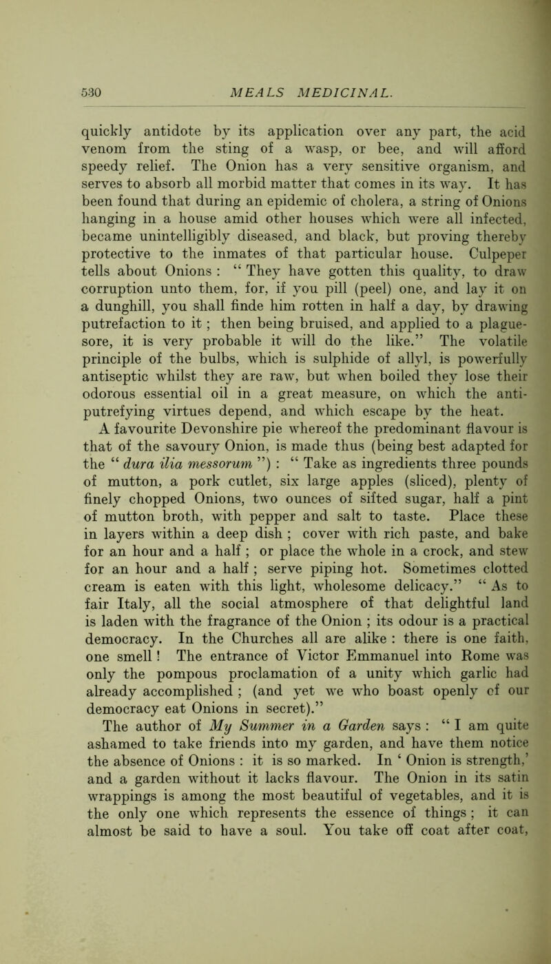 quickly antidote by its application over any part, the acid venom from the sting of a wasp, or bee, and will afford speedy relief. The Onion has a very sensitive organism, and serves to absorb all morbid matter that comes in its way. It has been found that during an epidemic of cholera, a string of Onions hanging in a house amid other houses which were all infected, became unintelligibly diseased, and black, but proving thereby protective to the inmates of that particular house. Culpeper tells about Onions : “ They have gotten this quality, to draw corruption unto them, for, if you pill (peel) one, and lay it on a dunghill, you shall finde him rotten in half a day, by drawdng putrefaction to it; then being bruised, and applied to a plague- sore, it is very probable it will do the like.” The volatile principle of the bulbs, which is sulphide of allyl, is powerfully antiseptic whilst they are raw, but when boiled they lose their odorous essential oil in a great measure, on which the anti- putrefying virtues depend, and which escape by the heat. A favourite Devonshire pie whereof the predominant flavour is that of the savoury Onion, is made thus (being best adapted for the “ dura ilia messorum ”) : “ Take as ingredients three pounds of mutton, a pork cutlet, six large apples (sliced), plenty of finely chopped Onions, two ounces of sifted sugar, half a pint of mutton broth, with pepper and salt to taste. Place these in layers within a deep dish ; cover with rich paste, and bake for an hour and a half ; or place the whole in a crock, and stew for an hour and a half ; serve piping hot. Sometimes clotted cream is eaten with this light, wholesome delicacy.” “ As to fair Italy, all the social atmosphere of that delightful land is laden with the fragrance of the Onion ; its odour is a practical democracy. In the Churches all are alike : there is one faith, one smell! The entrance of Victor Emmanuel into Rome was only the pompous proclamation of a unity which garlic had already accomplished ; (and yet we who boast openly of our democracy eat Onions in secret).” The author of My Summer in a Garden says : “ I am quite ashamed to take friends into my garden, and have them notice the absence of Onions : it is so marked. In ‘ Onion is strength,’ and a garden without it lacks flavour. The Onion in its satin wrappings is among the most beautiful of vegetables, and it is the only one which represents the essence of things ; it can almost be said to have a soul. You take off coat after coat,
