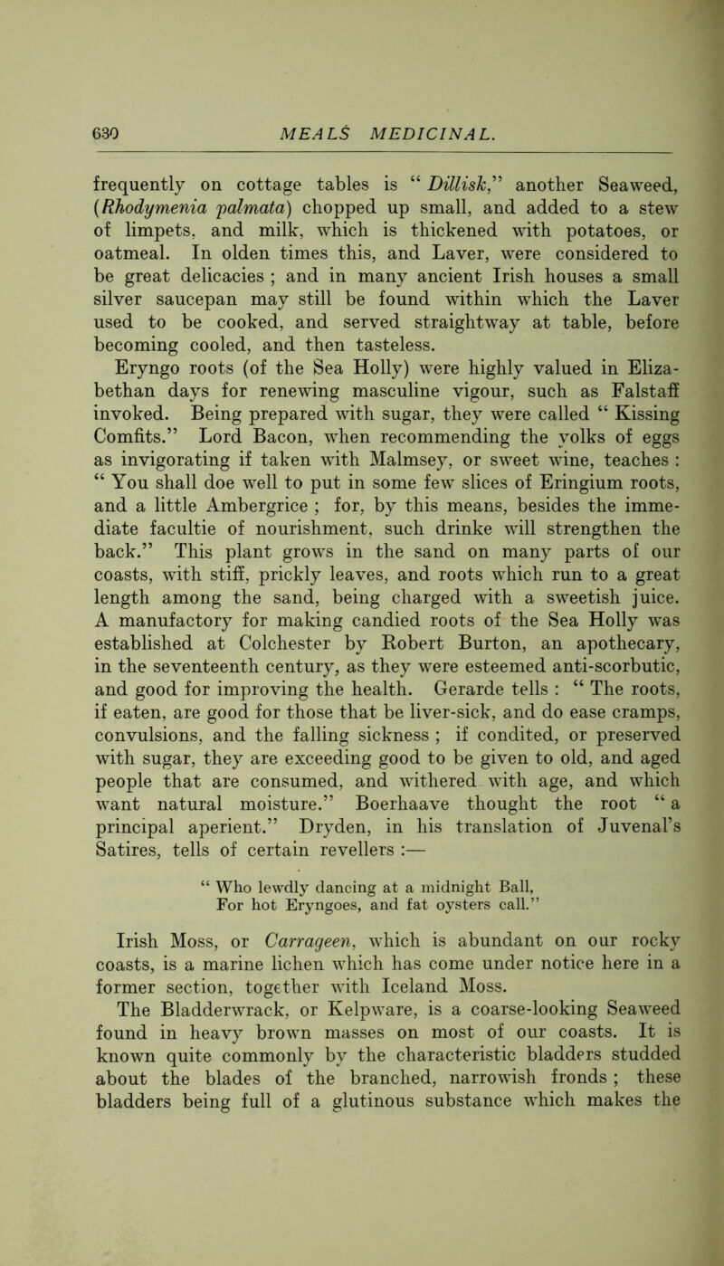 frequently on cottage tables is “ Dillisk,^’ another Seaweed, {Rhodymenia 'palmata) chopped up small, and added to a stew of limpets, and milk, which is thickened with potatoes, or oatmeal. In olden times this, and Laver, were considered to be great delicacies ; and in many ancient Irish houses a small silver saucepan may still be found within which the Laver used to be cooked, and served straightway at table, before becoming cooled, and then tasteless. Eryngo roots (of the Sea Holly) were highly valued in Eliza- bethan days for renewing masculine vigour, such as Falstaff invoked. Being prepared with sugar, they were called “ Kissing Comfits.” Lord Bacon, when recommending the yolks of eggs as invigorating if taken wdth Malmsey, or sweet wine, teaches : “ You shall doe well to put in some few slices of Eringium roots, and a little Ambergrice ; for, by this means, besides the imme- diate facultie of nourishment, such drinke will strengthen the back.” This plant grows in the sand on many parts of our coasts, with stiff, prickly leaves, and roots which run to a great length among the sand, being charged with a sweetish juice. A manufactory for making candied roots of the Sea Holly was established at Colchester by Robert Burton, an apothecary, in the seventeenth century, as they were esteemed anti-scorbutic, and good for improving the health. Gerarde tells : “ The roots, if eaten, are good for those that be liver-sick, and do ease cramps, convulsions, and the falling sickness ; if condited, or preserved with sugar, they are exceeding good to be given to old, and aged people that are consumed, and withered with age, and which want natural moisture.” Boerhaave thought the root “ a principal aperient.” Dryden, in his translation of Juvenal’s Satires, tells of certain revellers :— “ Who lewdly dancing at a midnight Ball, For hot Eryngoes, and fat oysters call.” Irish Moss, or Carrageen, w'hich is abundant on our rocky coasts, is a marine lichen which has come under notice here in a former section, together with Iceland Moss. The Bladderwrack, or Kelpware, is a coarse-looking Seaweed found in heavy brown masses on most of our coasts. It is known quite commonly by the characteristic bladders studded about the blades of the branched, narrowish fronds ; these bladders being full of a glutinous substance which makes the