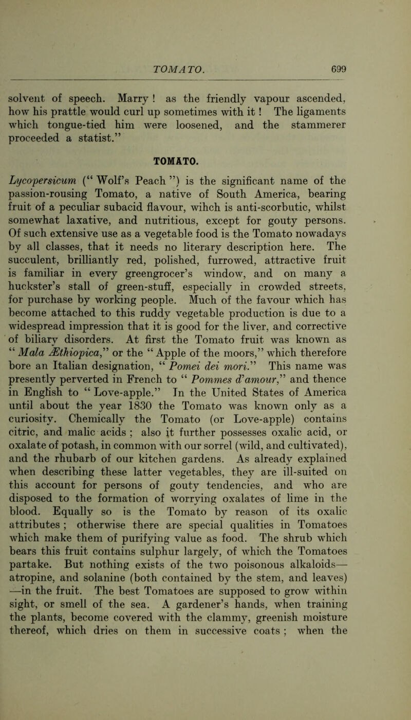 solvent of speech. Marry ! as the friendly vapour ascended, how his prattle would curl up sometimes with it! The ligaments which tongue-tied him were loosened, and the stammerer proceeded a statist.” TOMATO. Lycopersicum (“ Wolf’s Peach ”) is the significant name of the passion-rousing Tomato, a native of South America, bearing fruit of a peculiar subacid flavour, wihch is anti-scorbutic, whilst somewhat laxative, and nutritious, except for gouty persons. Of such extensive use as a vegetable food is the Tomato nowadays by all classes, that it needs no literary description here. The succulent, brilliantly red, polished, furrowed, attractive fruit is familiar in every greengrocer’s window, and on many a huckster’s stall of green-stuff, especially in crowded streets, for purchase by working people. Much of the favour which has become attached to this ruddy vegetable production is due to a widespread impression that it is good for the liver, and corrective of biliary disorders. At first the Tomato fruit was known as “ Mala Mthiopica^' or the “ Apple of the moors,” which therefore bore an Italian designation, “ Pomei dei moriP This name was presently perverted in French to “ Pommes amour,and thence in English to “ Love-apple.” In the United States of America until about the year 1830 the Tomato was known only as a curiosity. Chemically the Tomato (or Love-apple) contains citric, and malic acids ; also ft further possesses oxalic acid, or oxalate of potash, in common with our sorrel (wild, and cultivated), and the rhubarb of our kitchen gardens. As already explained when describing these latter vegetables, they are ill-suited on this account for persons of gouty tendencies, and who are disposed to the formation of worrying oxalates of lime in the blood. Equally so is the Tomato by reason of its oxalic attributes ; otherwise there are special qualities in Tomatoes which make them of purifying value as food. The shrub which bears this fruit contains sulphur largely, of which the Tomatoes partake. But nothing exists of the two poisonous alkaloids— atropine, and solanine (both contained by the stem, and leaves) —in the fruit. The best Tomatoes are supposed to grow within sight, or smell of the sea. A gardener’s hands, when training the plants, become covered with the clammy, greenish moisture thereof, which dries on them in successive coats ; when the