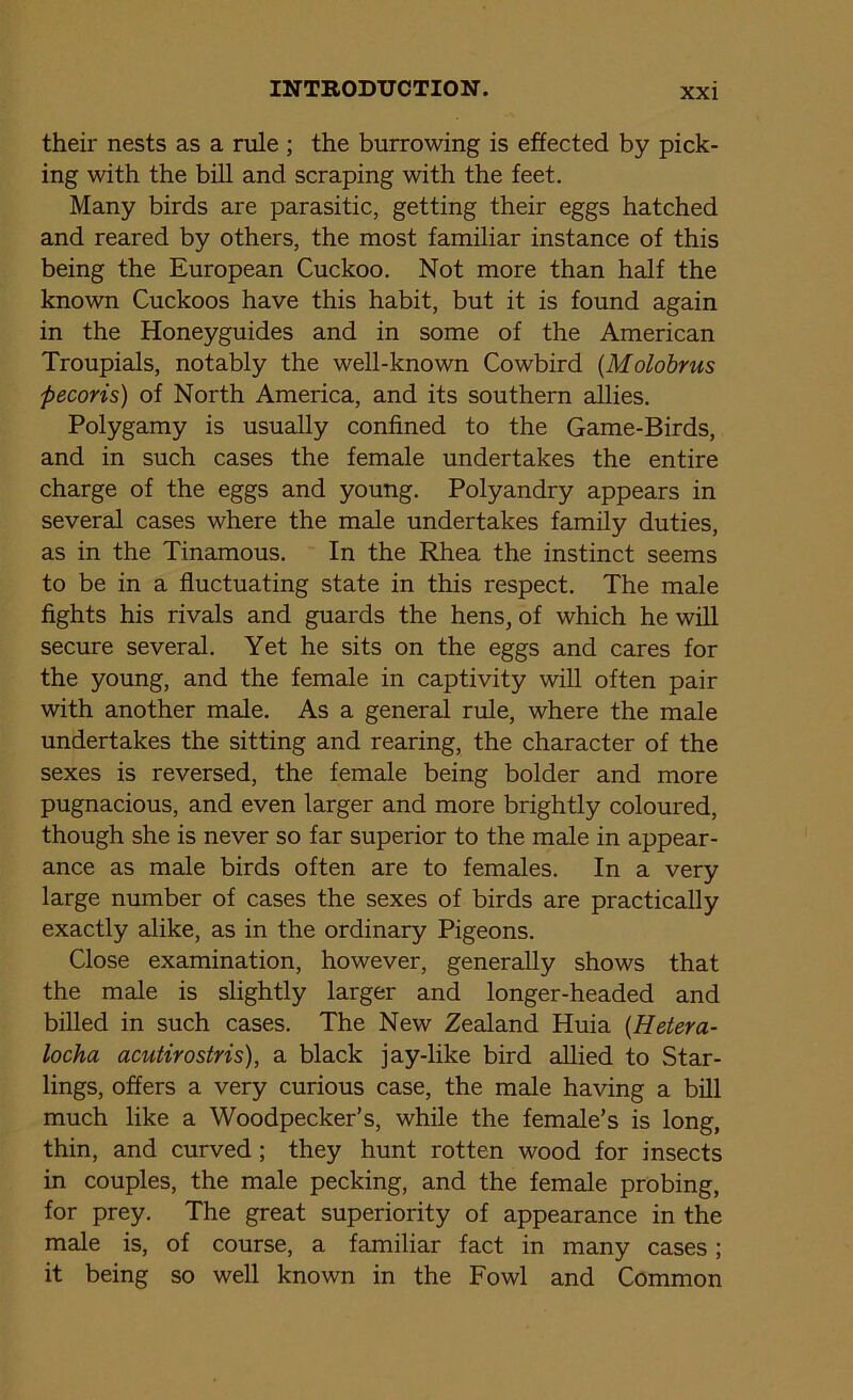 their nests as a rule ; the burrowing is effected by pick- ing with the bill and scraping with the feet. Many birds are parasitic, getting their eggs hatched and reared by others, the most familiar instance of this being the European Cuckoo. Not more than half the known Cuckoos have this habit, but it is found again in the Honeyguides and in some of the American Troupials, notably the well-known Cowbird (Molobrus pecoris) of North America, and its southern allies. Polygamy is usually confined to the Game-Birds, and in such cases the female undertakes the entire charge of the eggs and young. Polyandry appears in several cases where the male undertakes family duties, as in the Tinamous. In the Rhea the instinct seems to be in a fluctuating state in this respect. The male fights his rivals and guards the hens, of which he will secure several. Yet he sits on the eggs and cares for the young, and the female in captivity will often pair with another male. As a general rule, where the male undertakes the sitting and rearing, the character of the sexes is reversed, the female being bolder and more pugnacious, and even larger and more brightly coloured, though she is never so far superior to the male in appear- ance as male birds often are to females. In a very large number of cases the sexes of birds are practically exactly alike, as in the ordinary Pigeons. Close examination, however, generally shows that the male is slightly larger and longer-headed and billed in such cases. The New Zealand Huia (Hetera- locha acutirostris), a black jay-like bird allied to Star- lings, offers a very curious case, the male having a bill much like a Woodpecker’s, while the female’s is long, thin, and curved ; they hunt rotten wood for insects in couples, the male pecking, and the female probing, for prey. The great superiority of appearance in the male is, of course, a familiar fact in many cases; it being so well known in the Fowl and Common
