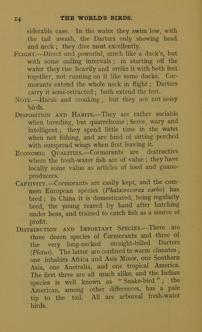 siderable ease. In the water they swim low, with the tail awash, the Darters only showing head and neck ; they dive most excellently. Flight.—Direct and powerful, much like a duck’s, but with some sailing intervals ; in starting off the water they rise heavily and strike it with both feet together, not running on it like some ducks. Cor- morants extend the whole neck in flight; Darters carry it semi-retracted ; both extend the feet. Note.—Harsh and croaking ; but they are not noisy birds. Disposition and Habits.—They are rather sociable when breeding, but quarrelsome ; fierce, wary and intelligent; they spend little time in the water when not fishing, and are fond of sitting perched with outspread wings when first leaving it. Economic Qualities.—Cormorants are destructive where the fresh-water fish are of value ; they have locally some value as articles of food and guano- producers. Captivity.—Cormorants are easily kept, and the com- mon European species (Phalacrocorax carbo) has bred ; in China it is domesticated, being regularly bred, the young reared by hand after hatching under hens, and trained to catch fish as a source of profit. Distribution and Important Species.—There are three dozen species of Cormorants and three of the very long-necked straight-billed Daiteis (.Plotus). The latter are confined to warm climates ; one inhabits Africa and Asia Minor, one Southern Asia, one Australia, and one tropical America. The first three are all much alike, and the Indian species is well known as “ Snake-bird ” ; the American, among other differences, has a pale tip to the tail. All are arboieal fresh-water birds.