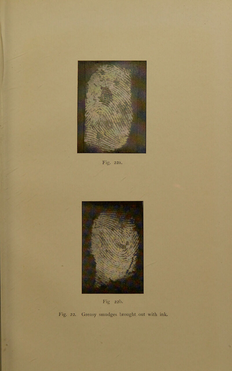 Fig. 22a, Fig 22b. Fig. 22. Greasy smudges brought out with ink.