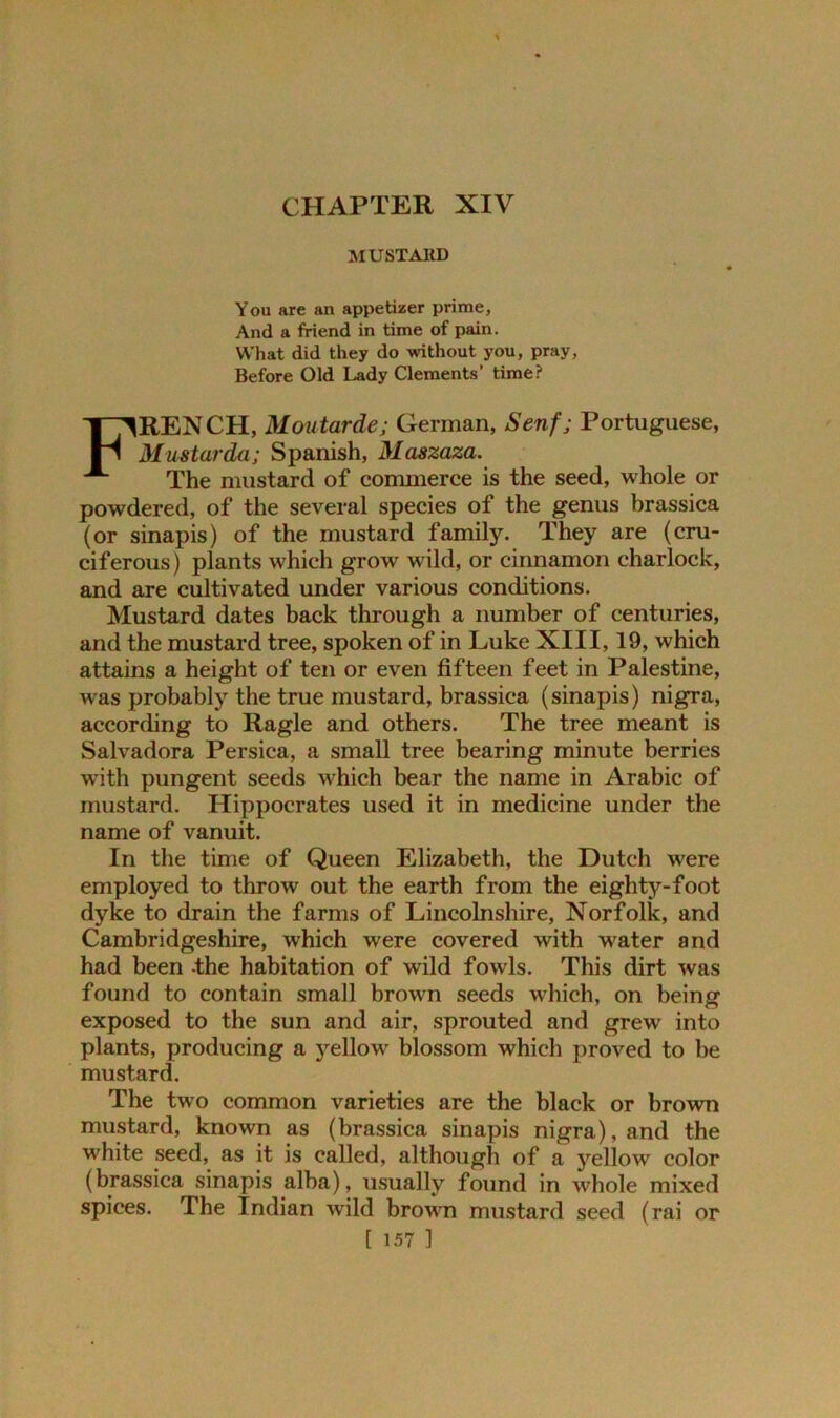 CHAPTER XIV MUSTARD You are an appetizer prime, And a friend in time of pain. What did they do without you, pray, Before Old Lady Clements’ time? FRENCH, Mmtardej German, Senf; Portuguese, Mustarda; Spanish, Maszaza. The mustard of commerce is the seed, whole or powdered, of the several species of the genus brassica (or sinapis) of the mustard family. They are (cru- ciferous) plants which grow wild, or cinnamon charlock, and are cultivated under various conditions. Mustard dates back through a number of centuries, and the mustard tree, spoken of in Luke XIII, 19, which attains a height of ten or even fifteen feet in Palestine, was probably the true mustard, brassica (sinapis) nigra, according to Ragle and others. The tree meant is Salvadora Persica, a small tree bearing minute berries with pungent seeds which bear the name in Arabic of mustard. Hippocrates used it in medicine under the name of vanuit. In the time of Queen Elizabeth, the Dutch were employed to throw out the earth from the eighty-foot dyke to drain the farms of Lincolnshire, Norfolk, and Cambridgeshire, which were covered with water and had been -the habitation of wild fowls. This dirt was found to contain small brown seeds which, on being exposed to the sun and air, sprouted and grew into plants, producing a yellow blossom which proved to be mustard. The two common varieties are the black or brown mustard, known as (brassica sinapis nigra), and the white seed, as it is called, although of a yellow color (brassica sinapis alba), usually found in whole mixed spices. The Indian wild brown mustard seed (rai or