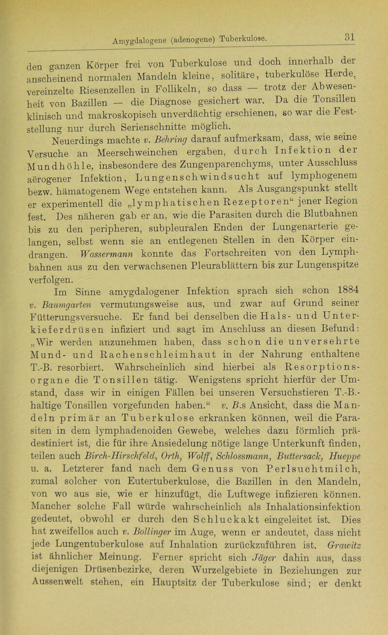 den ganzen Körper frei von Tuberkulose und doch innerhalb dei anscheinend normalen Mandeln kleine, solitäre, tuberkulöse Herde, vereinzelte Riesenzellen in Follikeln, so dass trotz der Abwesen- heit von Bazillen - die Diagnose gesichert war. Da die Tonsillen klinisch und makroskopisch unverdächtig erschienen, so war die Fest- stellung nur durch Serienschnitte möglich. Neuerdings machte v. Behring darauf aufmerksam, dass, wie seine Versuche an Meerschweinchen ergaben, durch Infektion der Mundhöhle, insbesondere des Zungenparenchyms, unter Ausschluss aerogener Infektion, Lungenschwindsucht auf lymphogenem bezw. hämatogenem Wege entstehen kann. Als Ausgangspunkt stellt er experimentell die „lymphatischen Rezeptoren“ jener Region fest. Des näheren gab er an, wie die Parasiten durch die Blutbahnen bis zu den peripheren, subpleuralen Enden der Lungenarterie ge- langen, selbst wenn sie an entlegenen Stellen in den Körper ein- drangen. Wassermann konnte das Fortschreiten von den Lymph- bahnen aus zu den verwachsenen Pleurablättern bis zur Lungenspitze verfolgen. Im Sinne amygdalogener Infektion sprach sich schon 1884 v. Baumgarten vermutungsweise aus, und zwar auf Grund seiner Fütterungsversuche. Er fand bei denselben die Hals- und Unter- kieferdrüsen infiziert und sagt im Anschluss an diesen Befund: „Wir werden anzunehmen haben, dass schon die unversehrte Mund- und Rachenschleimhaut in der Nahrung enthaltene T.-B. resorbiert. Wahrscheinlich sind hierbei als Resorptions- organe die Tonsillen tätig. Wenigstens spricht hierfür der Um- stand, dass wir in einigen Fällen bei unseren Versuchstieren T.-B.- haltige Tonsillen vorgefunden haben.“ v. B.s Ansicht, dass die Man- deln primär an Tuberkulose erkranken können, weil die Para- siten in dem lymphadenoiden Gewebe, welches dazu förmlich prä- destiniert ist, die für ihre Ansiedelung nötige lange Unterkunft finden, teilen auch Birch-Hirschfeld, Orth, Wolff, Schlossmann, Buttersack, Hueppe u. a. Letzterer fand nach dem Genuss von Perlsuchtmilch, zumal solcher von Eutertuberkulose, die Bazillen in den Mandeln, von wo aus sie, wie er hinzufügt, die Luftwege infizieren können. Mancher solche Fall würde wahrscheinlich als Inhalationsinfektion gedeutet, obwohl er durch den Schluckakt eingeleitet ist. Dies hat zweifellos auch v. Bollinger im Auge, wenn er andeutet, dass nicht jede Lungentuberkulose auf Inhalation zurückzuführen ist. Grawitz ist ähnlicher Meinung. Ferner spricht sich Jäger dahin aus, dass diejenigen Drüsenbezirke, deren Wurzelgebiete in Beziehungen zur Aussenwelt stehen, ein Plauptsitz der Tuberkulose sind; er denkt