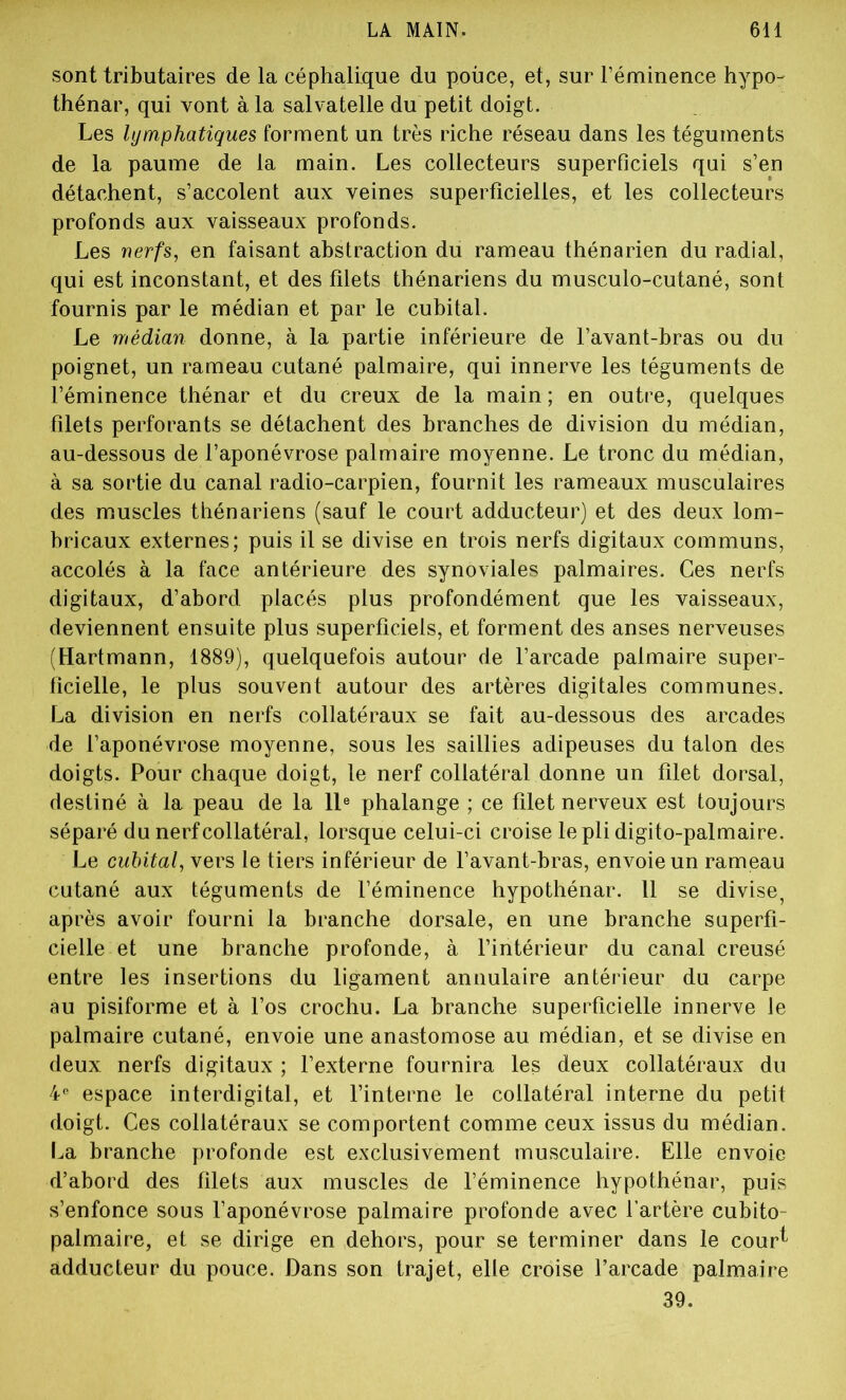 LA MAIN. 611 sont tributaires de la céphalique du pouce, et, sur l’éminence hypo- thénar, qui vont à la salvatelle du petit doigt. Les lymphatiques forment un très riche réseau dans les téguments de la paume de la main. Les collecteurs superficiels qui s’en détachent, s’accolent aux veines superficielles, et les collecteurs profonds aux vaisseaux profonds. Les nerfs, en faisant abstraction du rameau thénarien du radial, qui est inconstant, et des filets thénariens du musculo-cutané, sont fournis par le médian et par le cubital. Le médian donne, à la partie inférieure de l’avant-bras ou du poignet, un rameau cutané palmaire, qui innerve les téguments de l’éminence thénar et du creux de la main ; en outre, quelques filets perforants se détachent des branches de division du médian, au-dessous de l’aponévrose palmaire moyenne. Le tronc du médian, à sa sortie du canal radio-carpien, fournit les rameaux musculaires des muscles thénariens (sauf le court adducteur) et des deux lom- bricaux externes; puis il se divise en trois nerfs digitaux communs, accolés à la face antérieure des synoviales palmaires. Ces nerfs digitaux, d’abord placés plus profondément que les vaisseaux, deviennent ensuite plus superficiels, et forment des anses nerveuses (Hartmann, 1889), quelquefois autour de l’arcade palmaire super- ficielle, le plus souvent autour des artères digitales communes. La division en nerfs collatéraux se fait au-dessous des arcades de l’aponévrose moyenne, sous les saillies adipeuses du talon des doigts. Pour chaque doigt, le nerf collatéral donne un filet dorsal, destiné à la peau de la 11e phalange ; ce filet nerveux est toujours séparé du nerf collatéral, lorsque celui-ci croise le pli digito-palmaire. Le cubital, vers le tiers inférieur de l’avant-bras, envoie un rameau cutané aux téguments de l’éminence hypothénar. 11 se divise, après avoir fourni la branche dorsale, en une branche superfi- cielle et une branche profonde, à l’intérieur du canal creusé entre les insertions du ligament annulaire antérieur du carpe au pisiforme et à l’os crochu. La branche superficielle innerve le palmaire cutané, envoie une anastomose au médian, et se divise en deux nerfs digitaux ; l’externe fournira les deux collatéraux du 4e espace interdigital, et l’interne le collatéral interne du petit doigt. Ces collatéraux se comportent comme ceux issus du médian. La branche profonde est exclusivement musculaire. Elle envoie d’abord des filets aux muscles de l’éminence hypothénar, puis s’enfonce sous l’aponévrose palmaire profonde avec l’artère cubito- palmaire, et se dirige en dehors, pour se terminer dans le cour^ adducteur du pouce. Dans son trajet, elle croise l’arcade palmaire 39.
